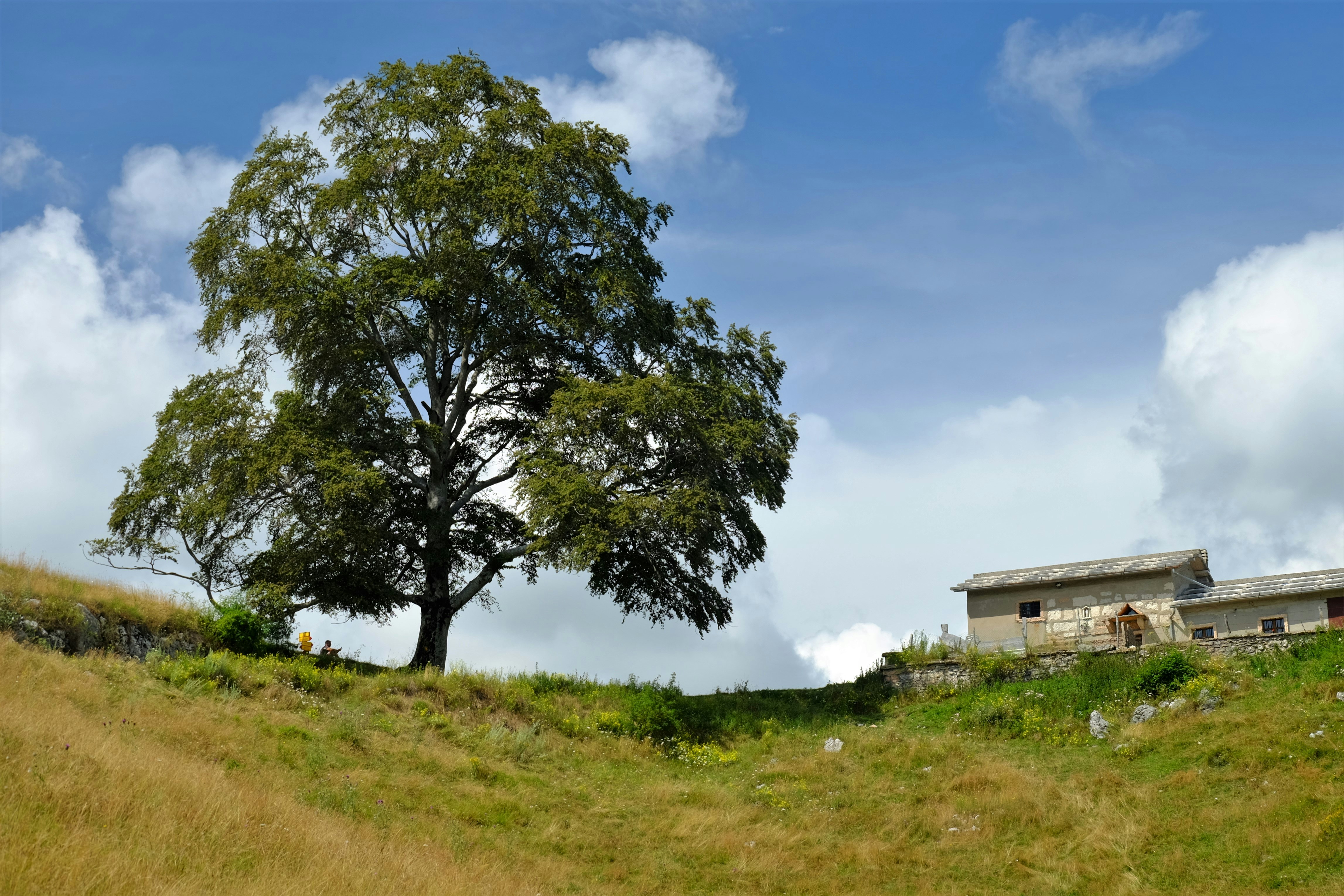 Photo by alessandroventuri