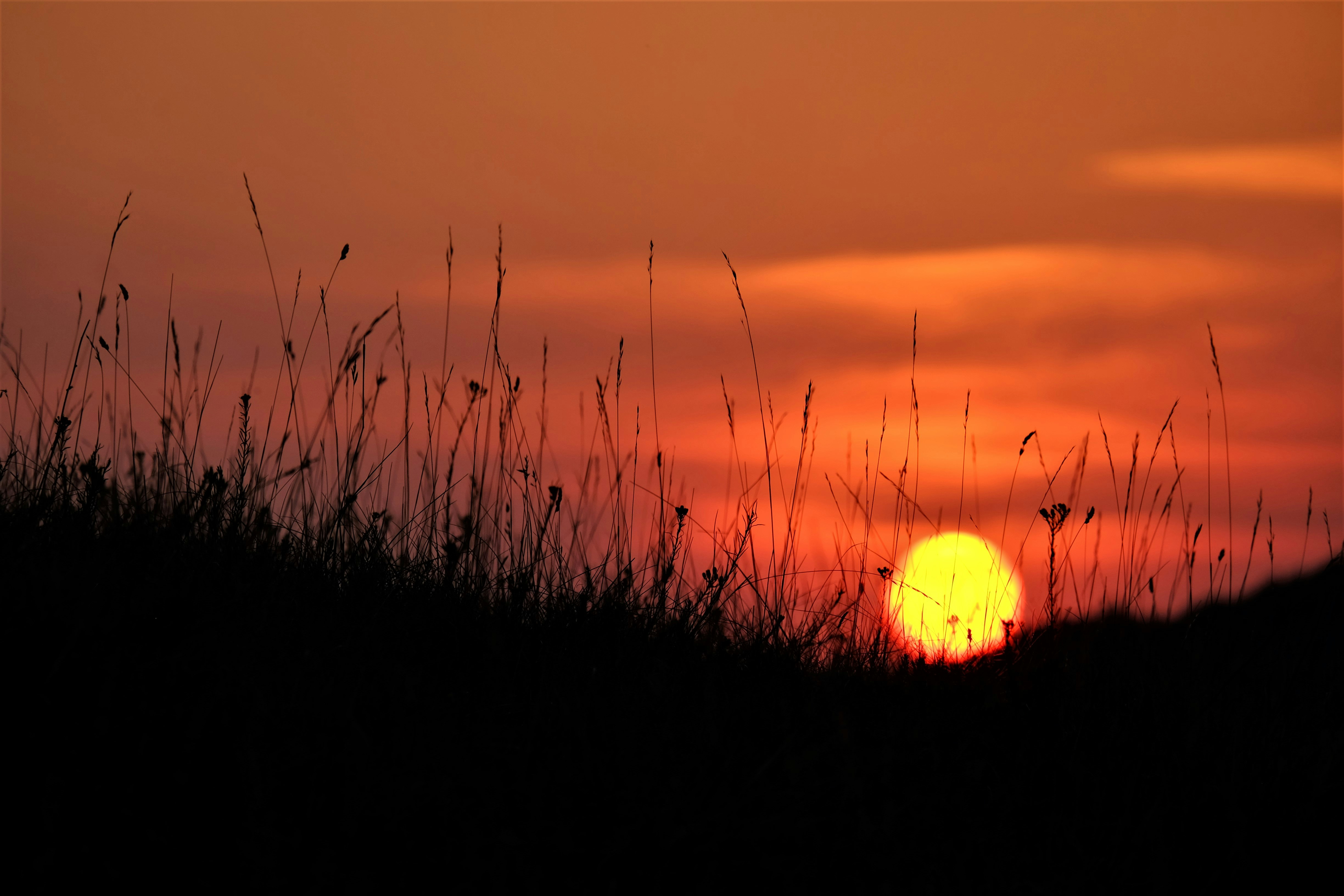 Photo by alessandroventuri