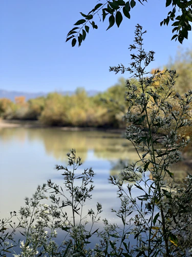 Los Lunas