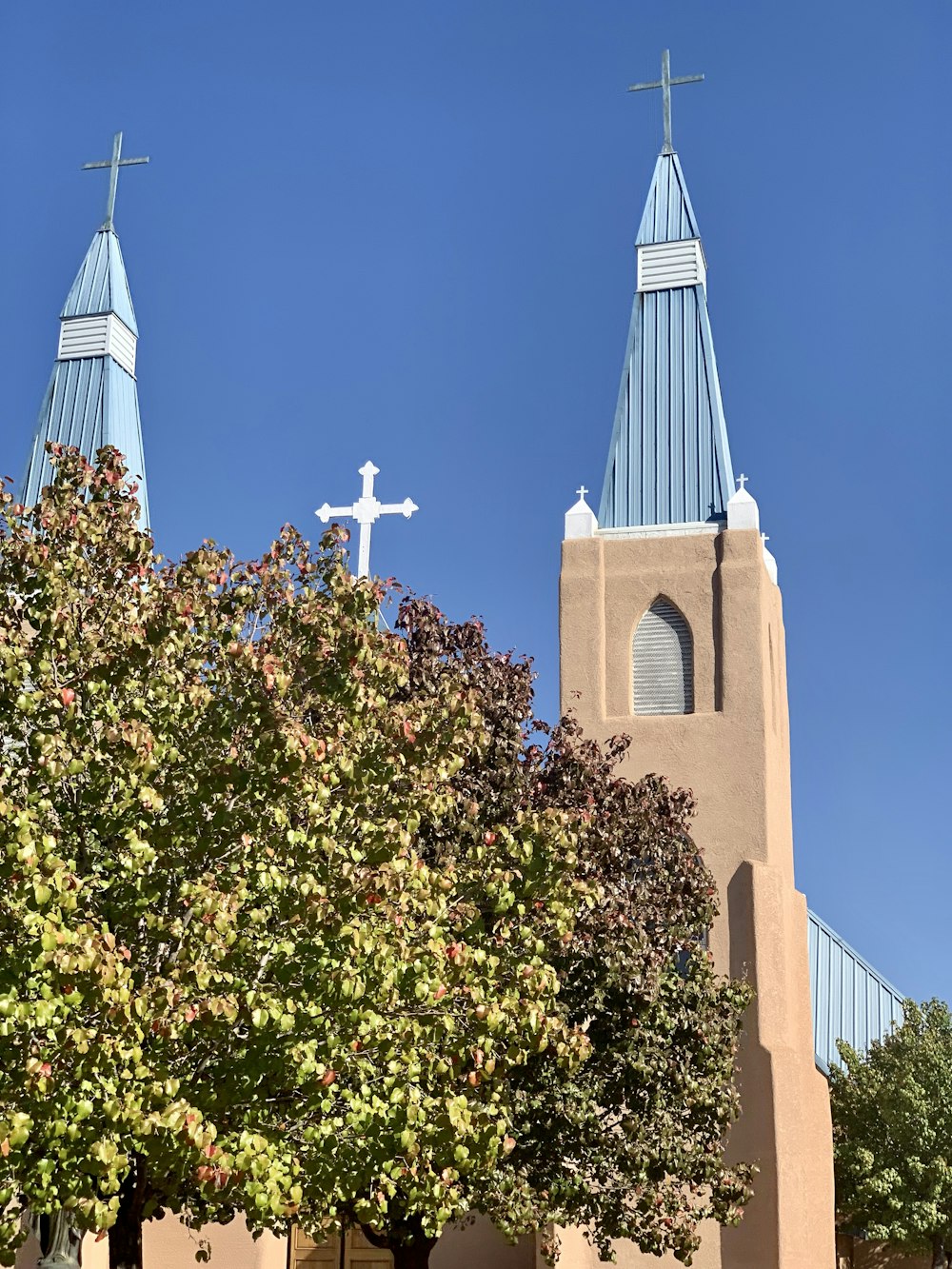 green and yellow tree near brown concrete church