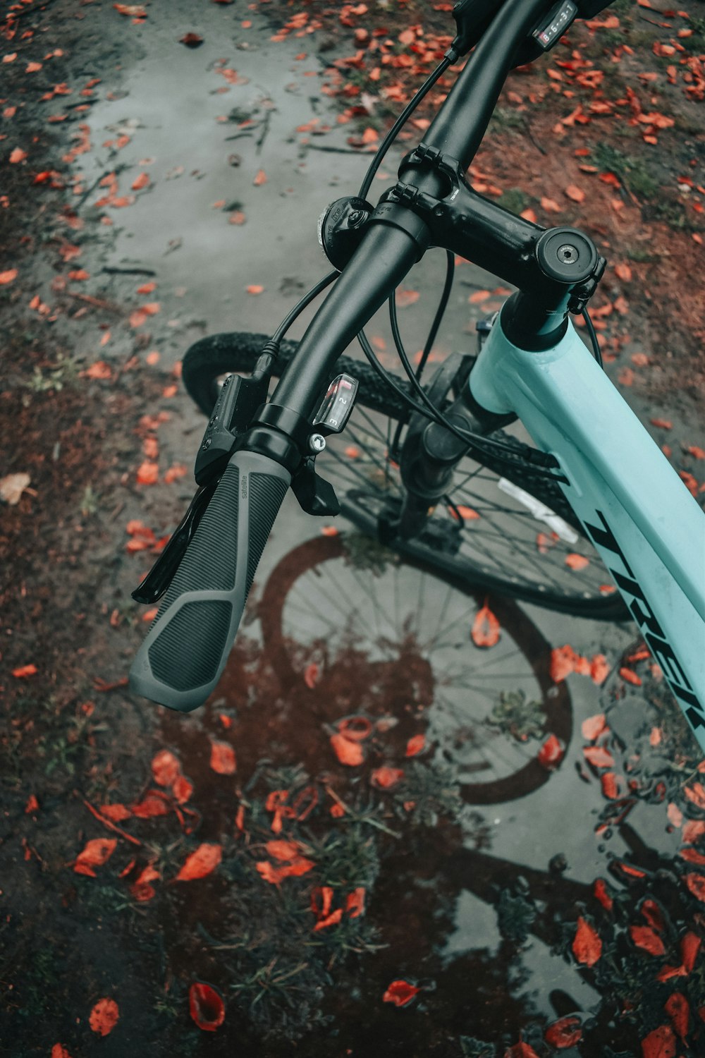 black and gray bicycle on brown leaves