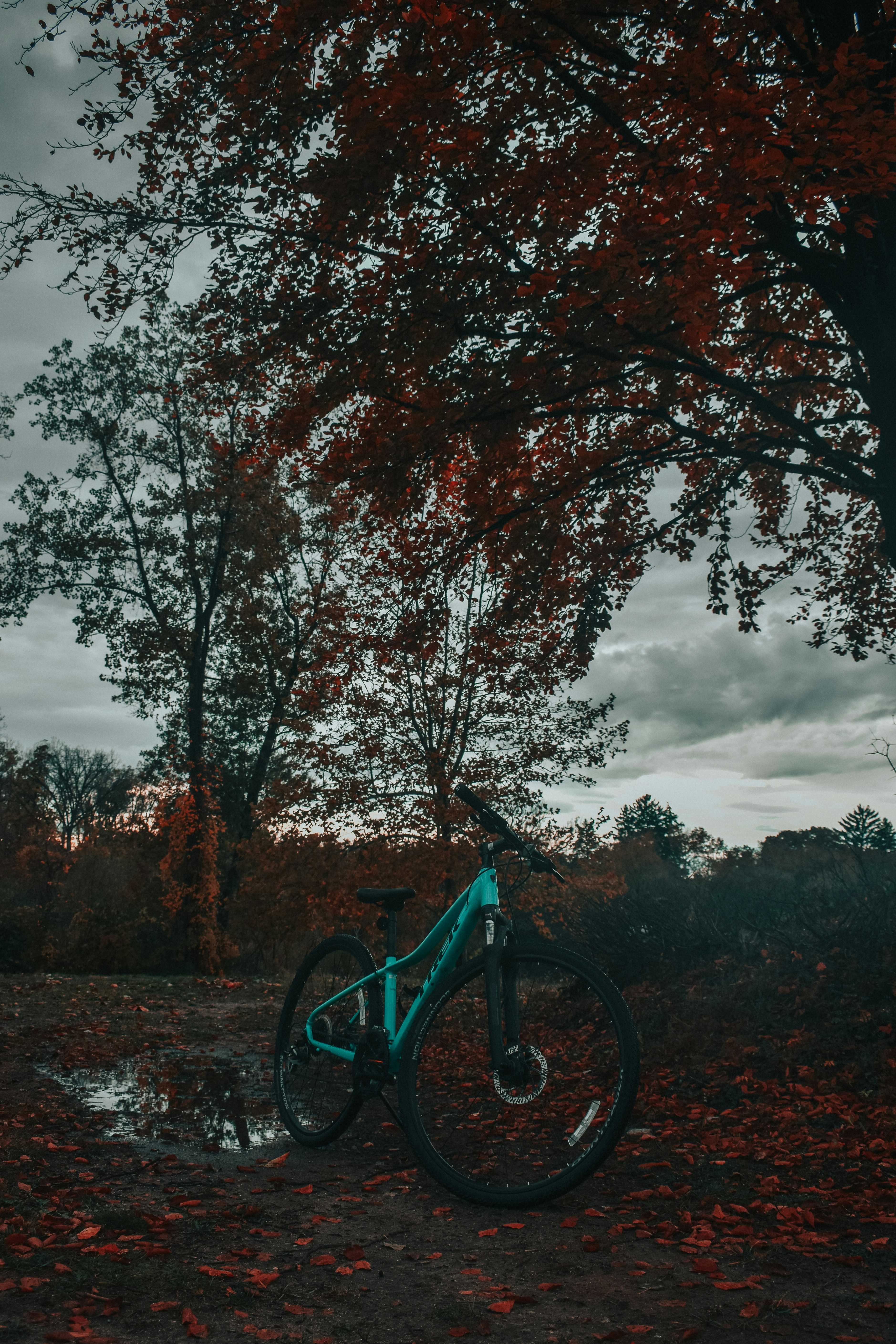 Photo by mariahhewines