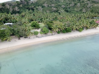 A picturesque tropical beach with clear blue water and white sand. The shoreline is lined with lush green palm trees and dense vegetation. The tranquil setting suggests a remote and serene location, ideal for relaxation.