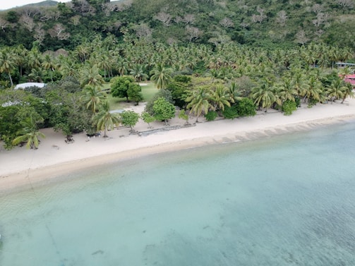 A picturesque tropical beach with clear blue water and white sand. The shoreline is lined with lush green palm trees and dense vegetation. The tranquil setting suggests a remote and serene location, ideal for relaxation.