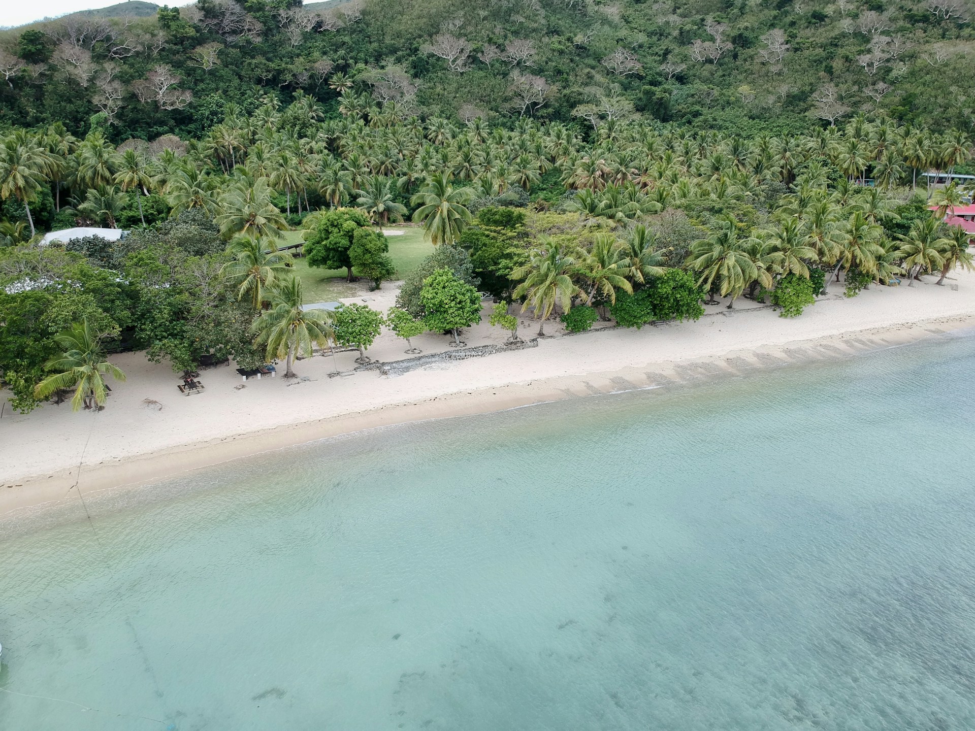 A scenic view of a tropical beach with crystal-clear water, perfect for a relaxing youth travel getaway.
