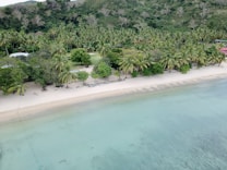 A picturesque tropical beach with clear blue water and white sand. The shoreline is lined with lush green palm trees and dense vegetation. The tranquil setting suggests a remote and serene location, ideal for relaxation.