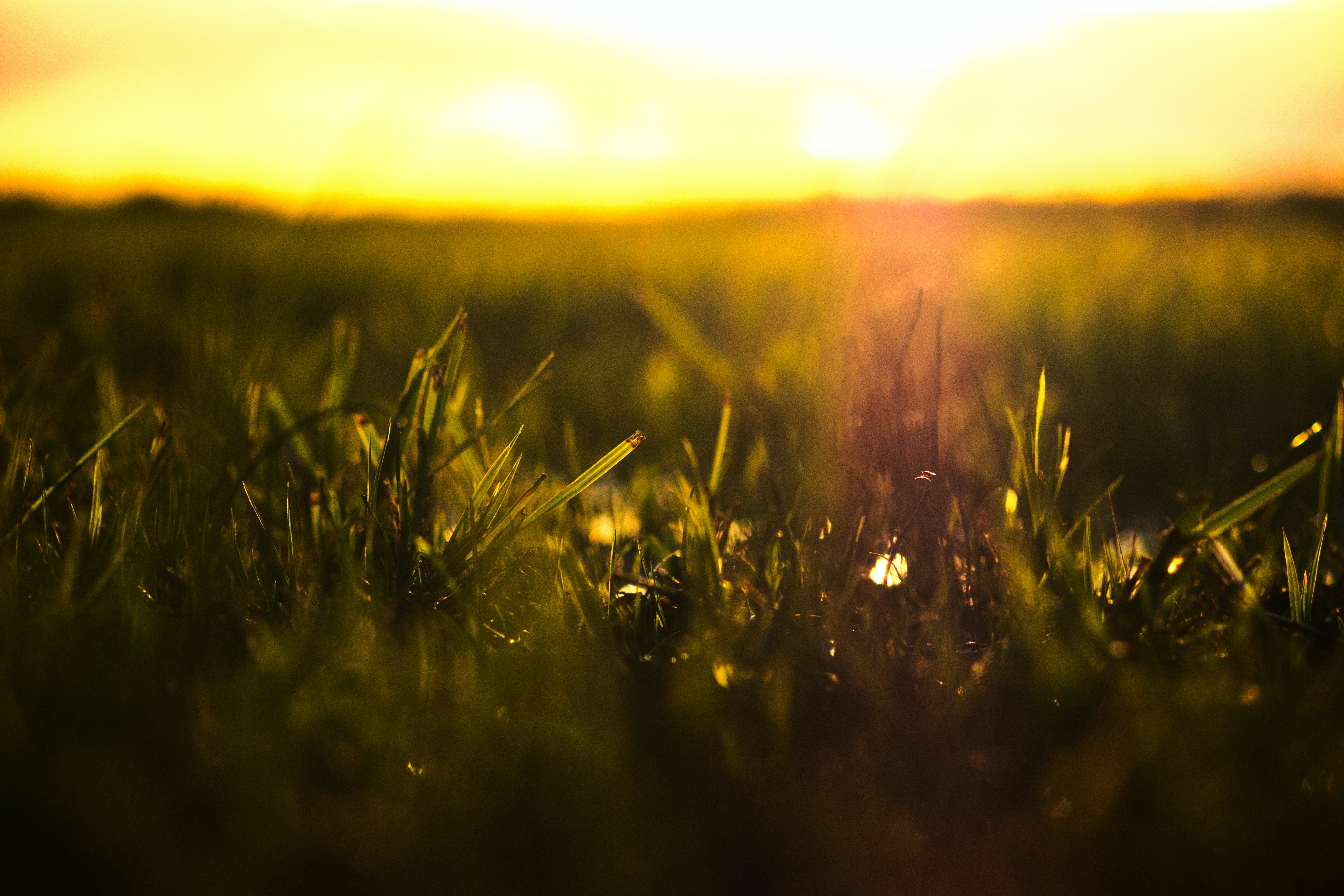 Photo by nothingbutpictures