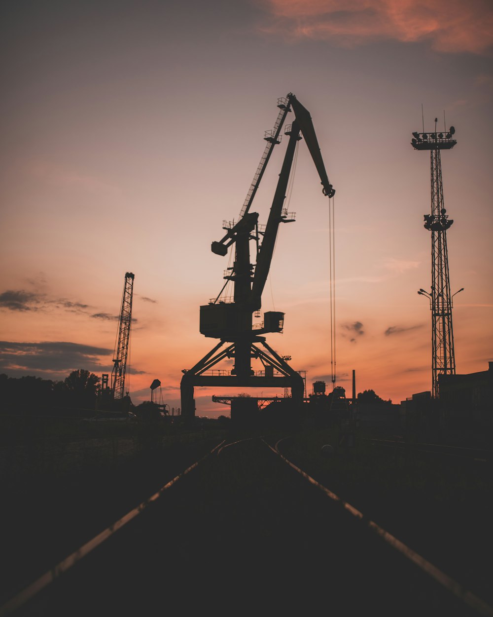 silhouette of crane during sunset