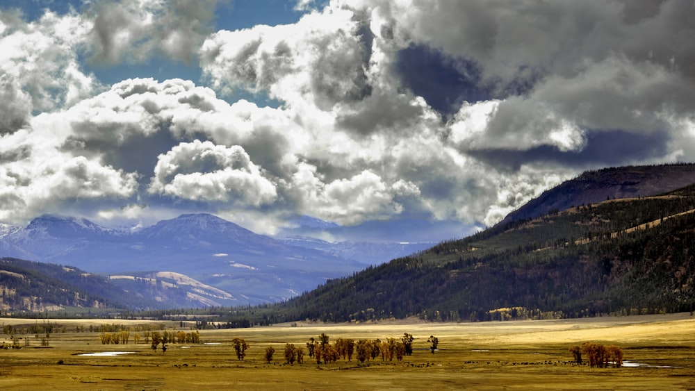 brown field under white clouds and blue sky during daytime