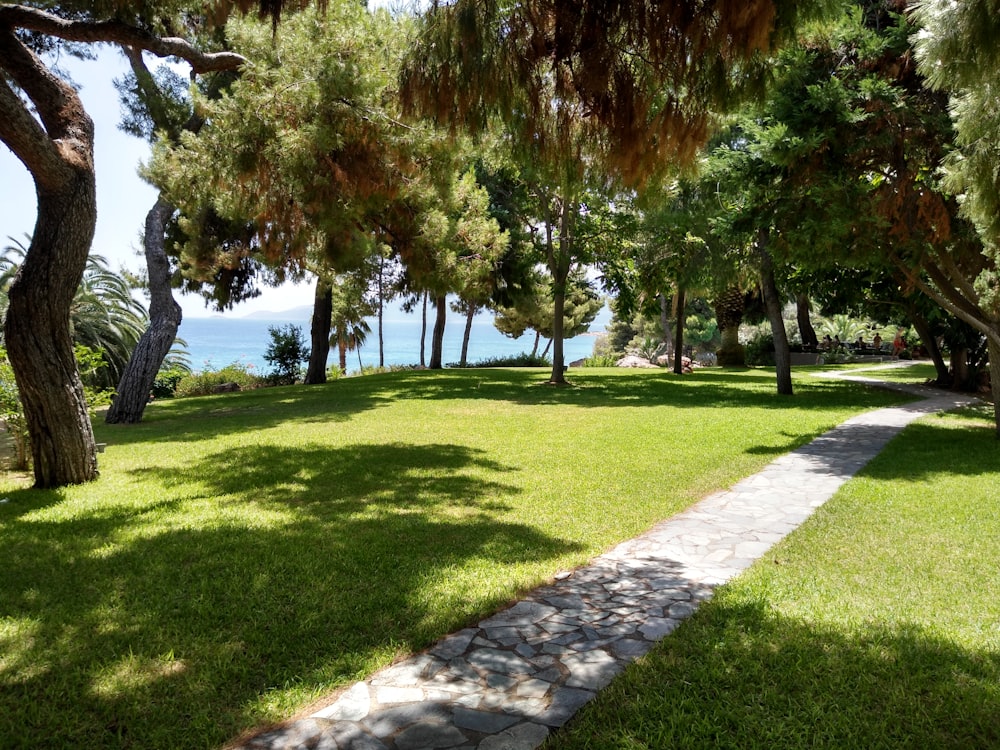 green grass field with trees