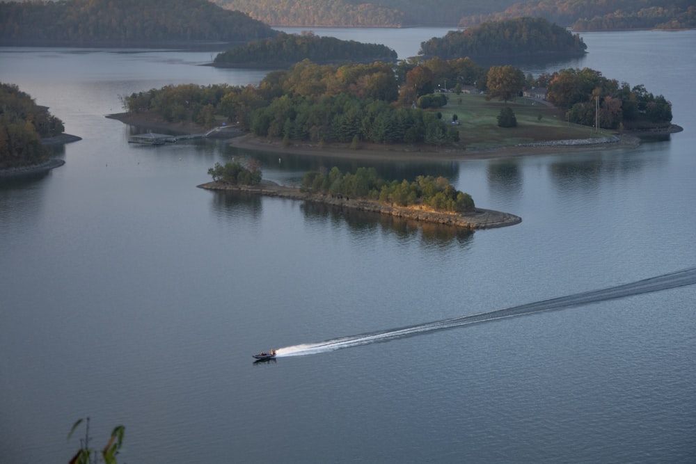 weißes Boot auf dem See in der Nähe grüner Bäume tagsüber