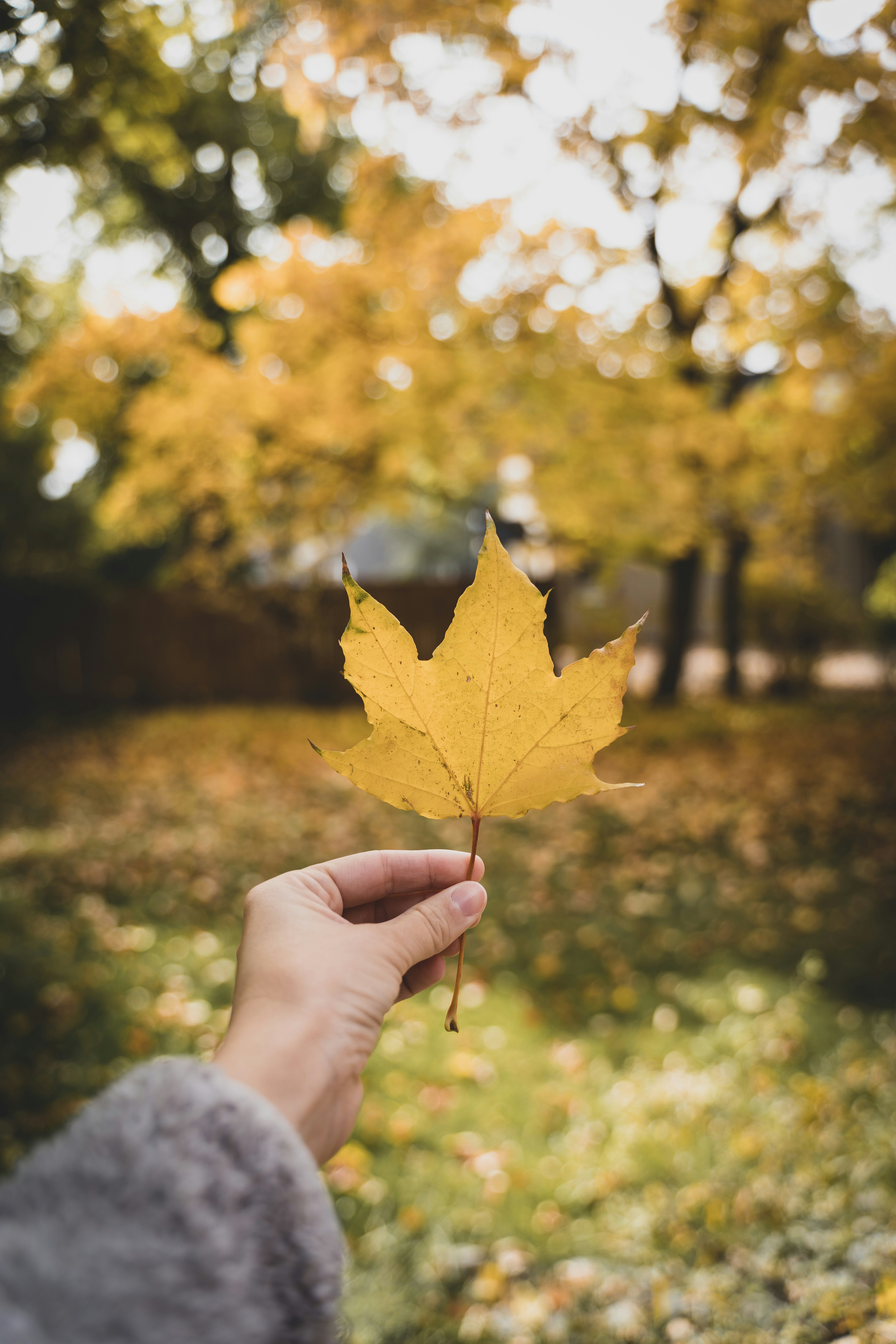 Photo by courtneysmith