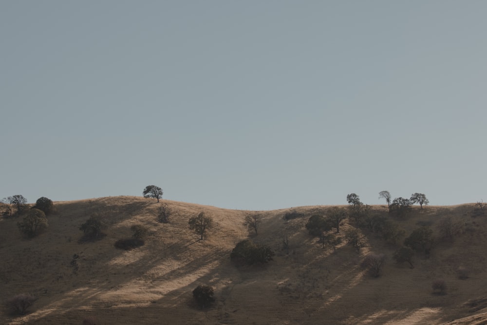 people walking on brown field during daytime