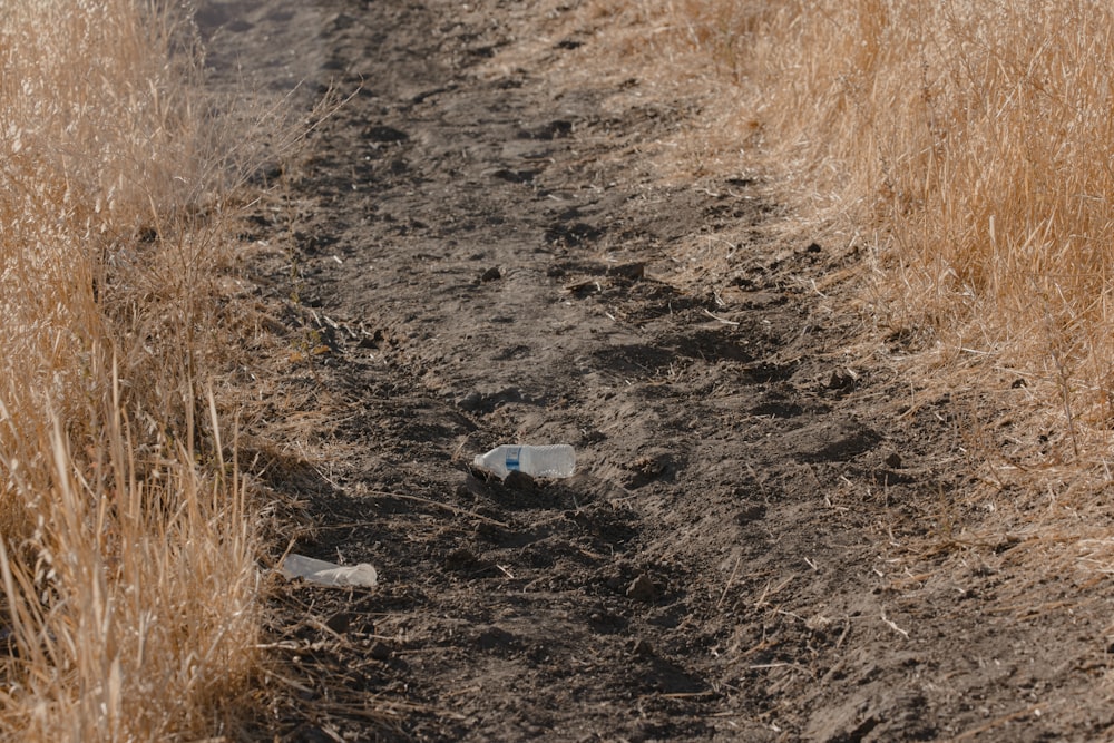 white plastic container on brown grass field during daytime