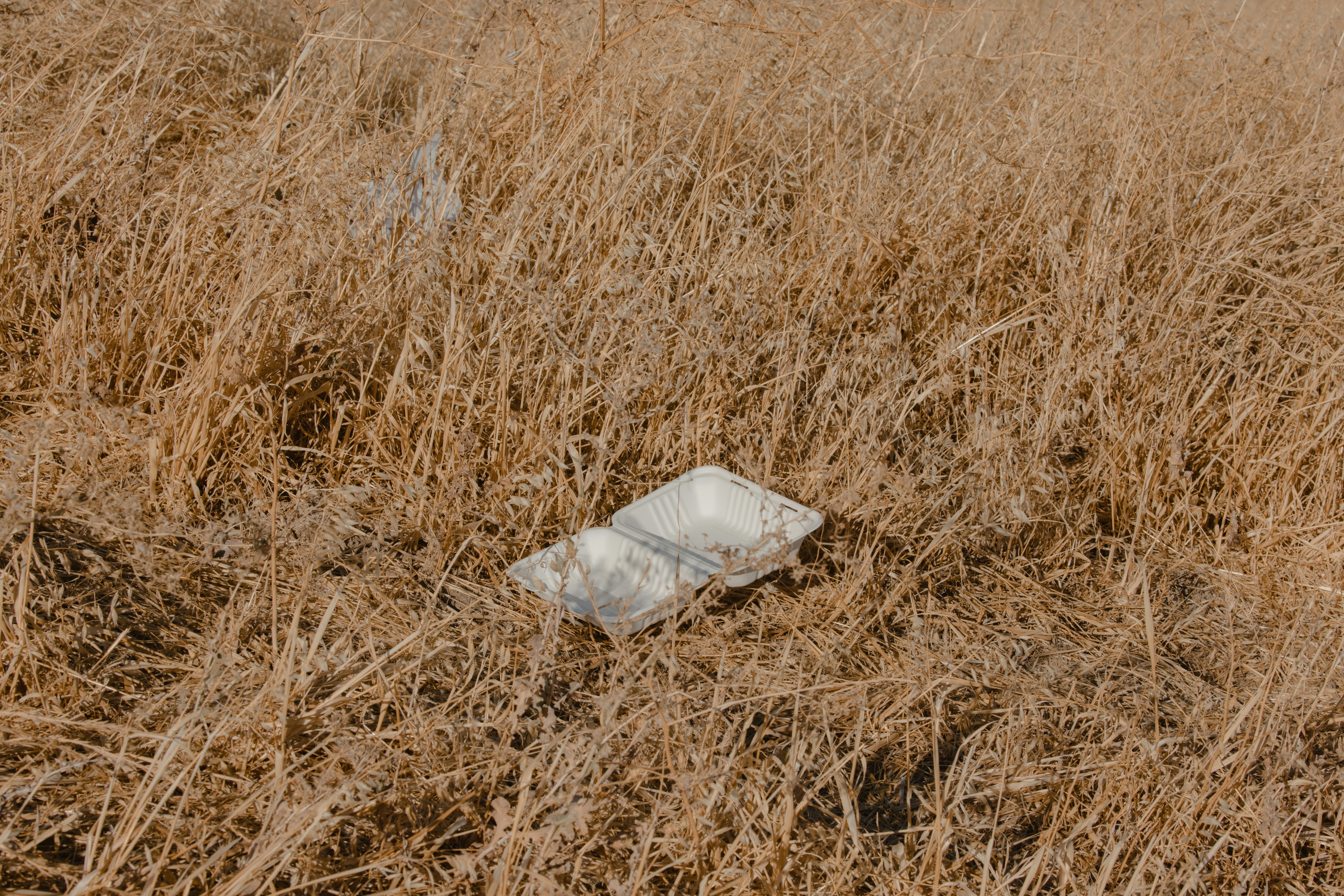 white plastic bag on brown grass