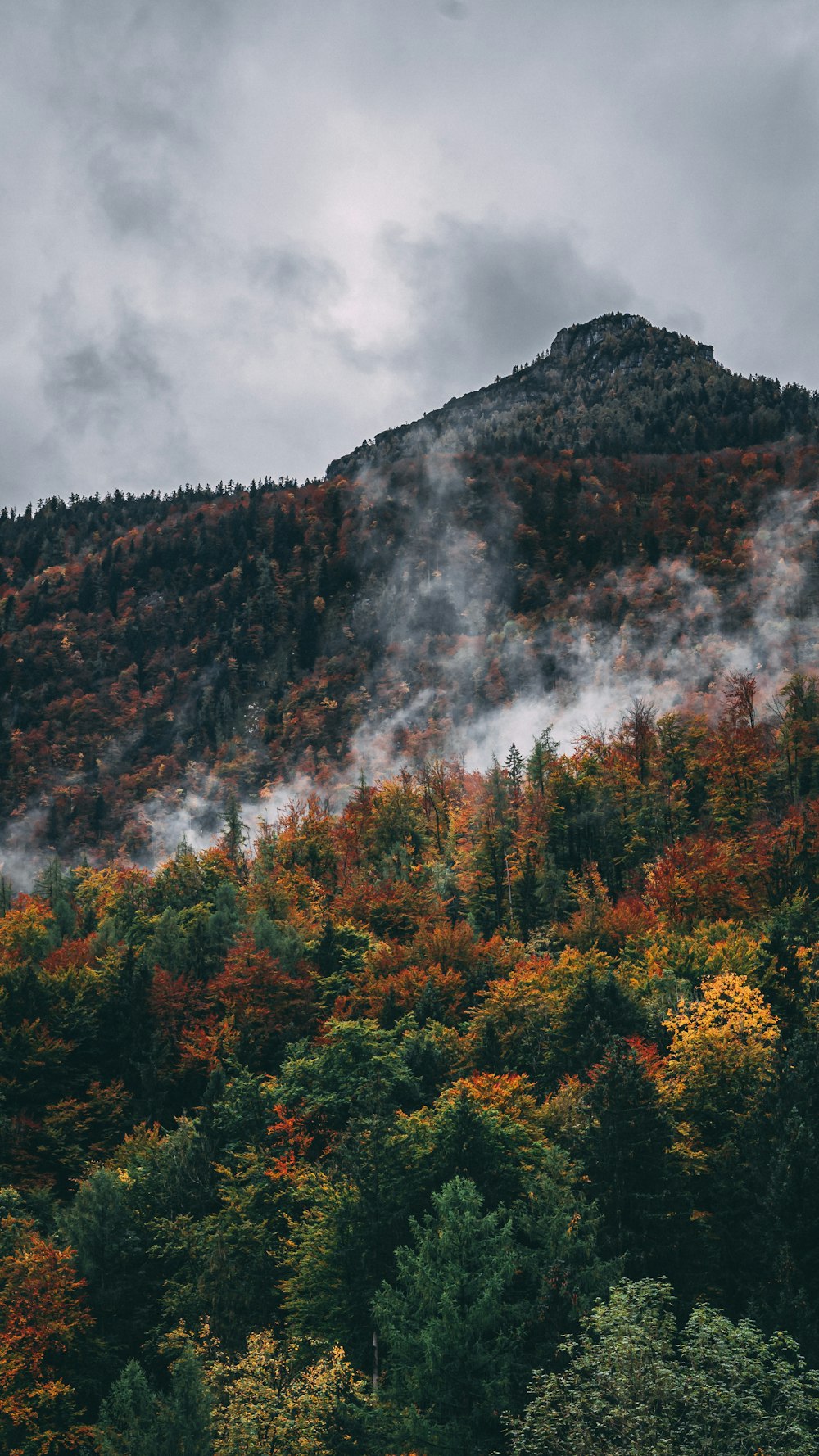 green and brown trees near mountain under white clouds during daytime