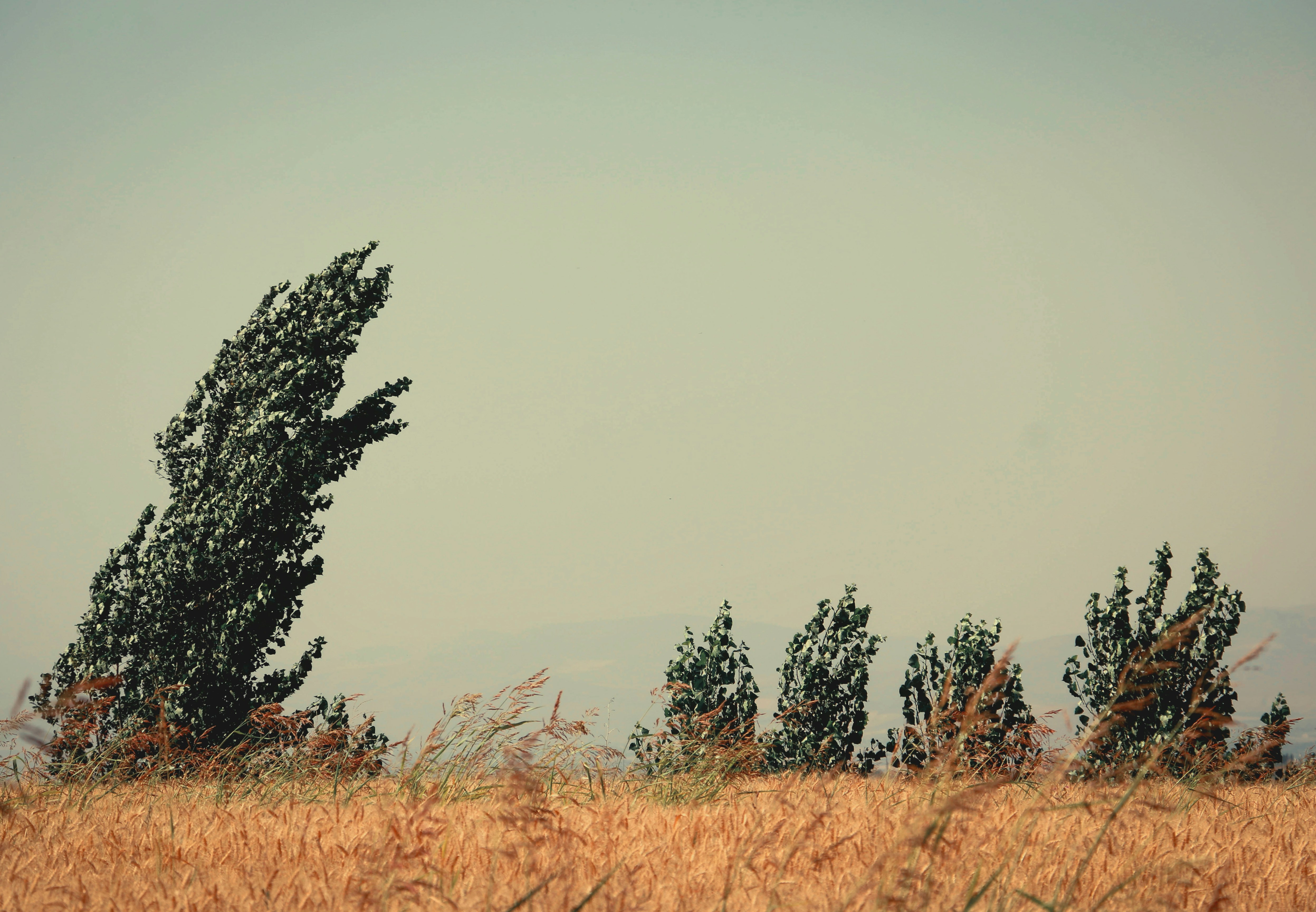 Photo by kamilson1985