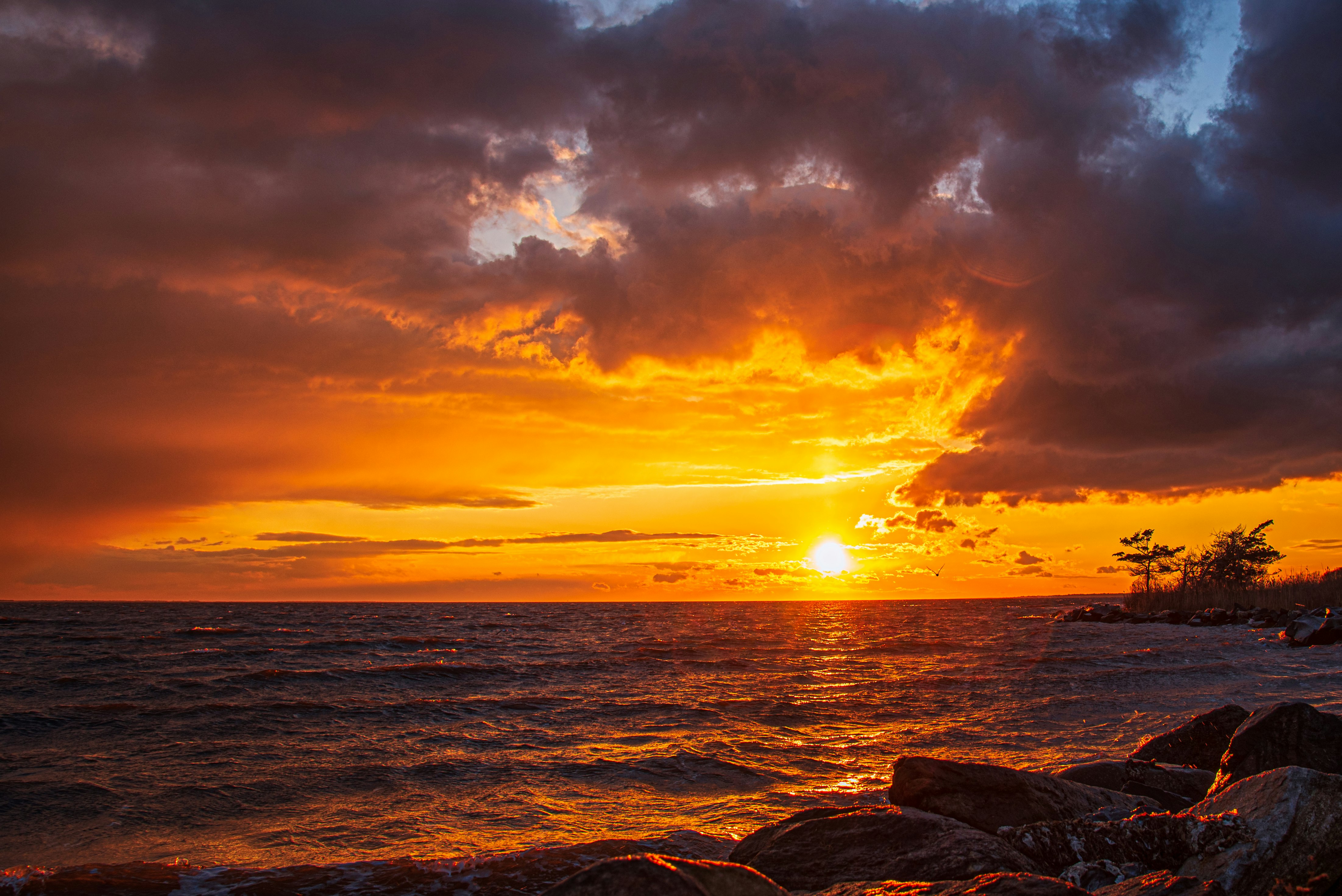 body of water under cloudy sky during sunset