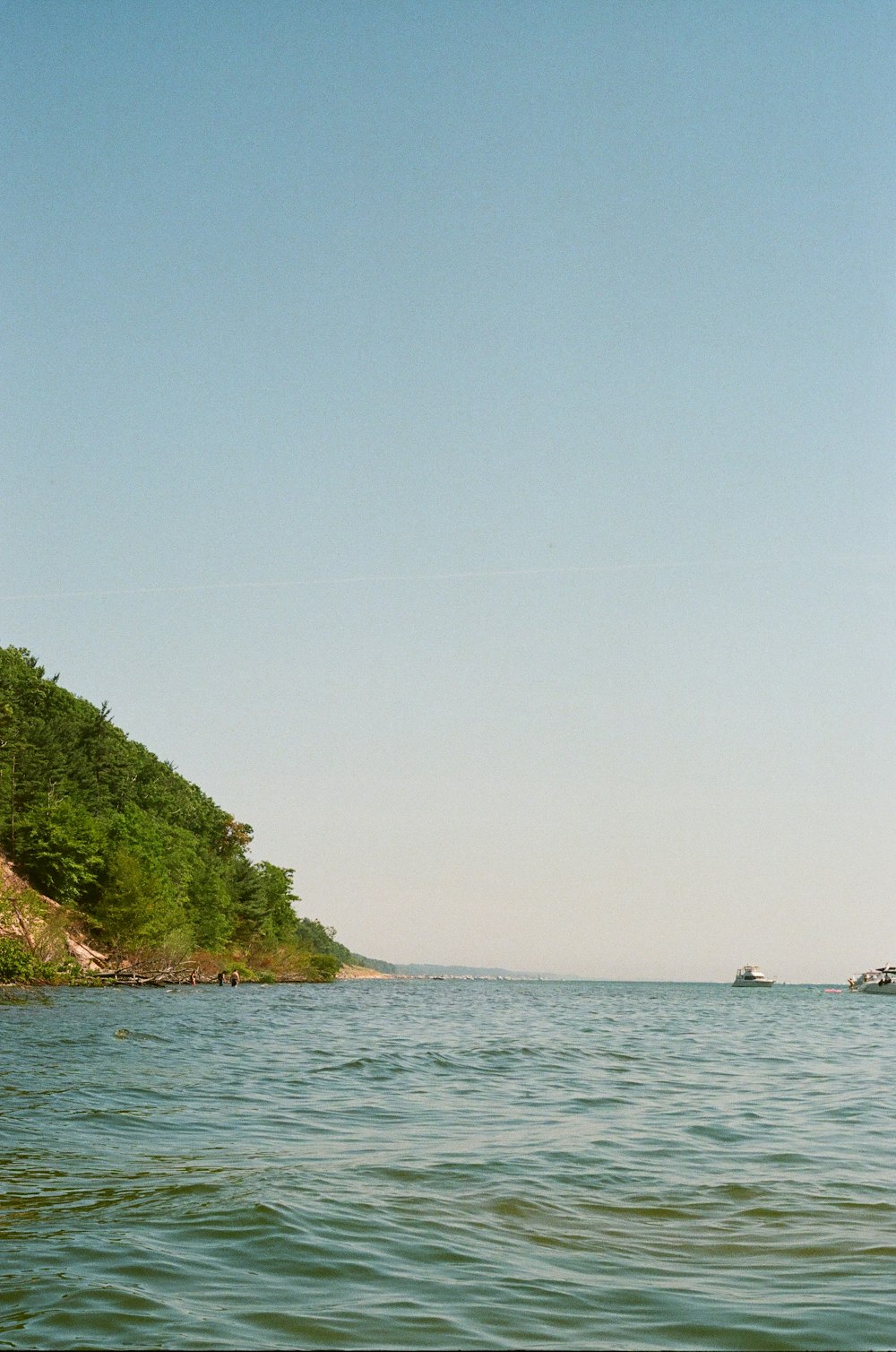 alberi verdi sull'isola durante il giorno