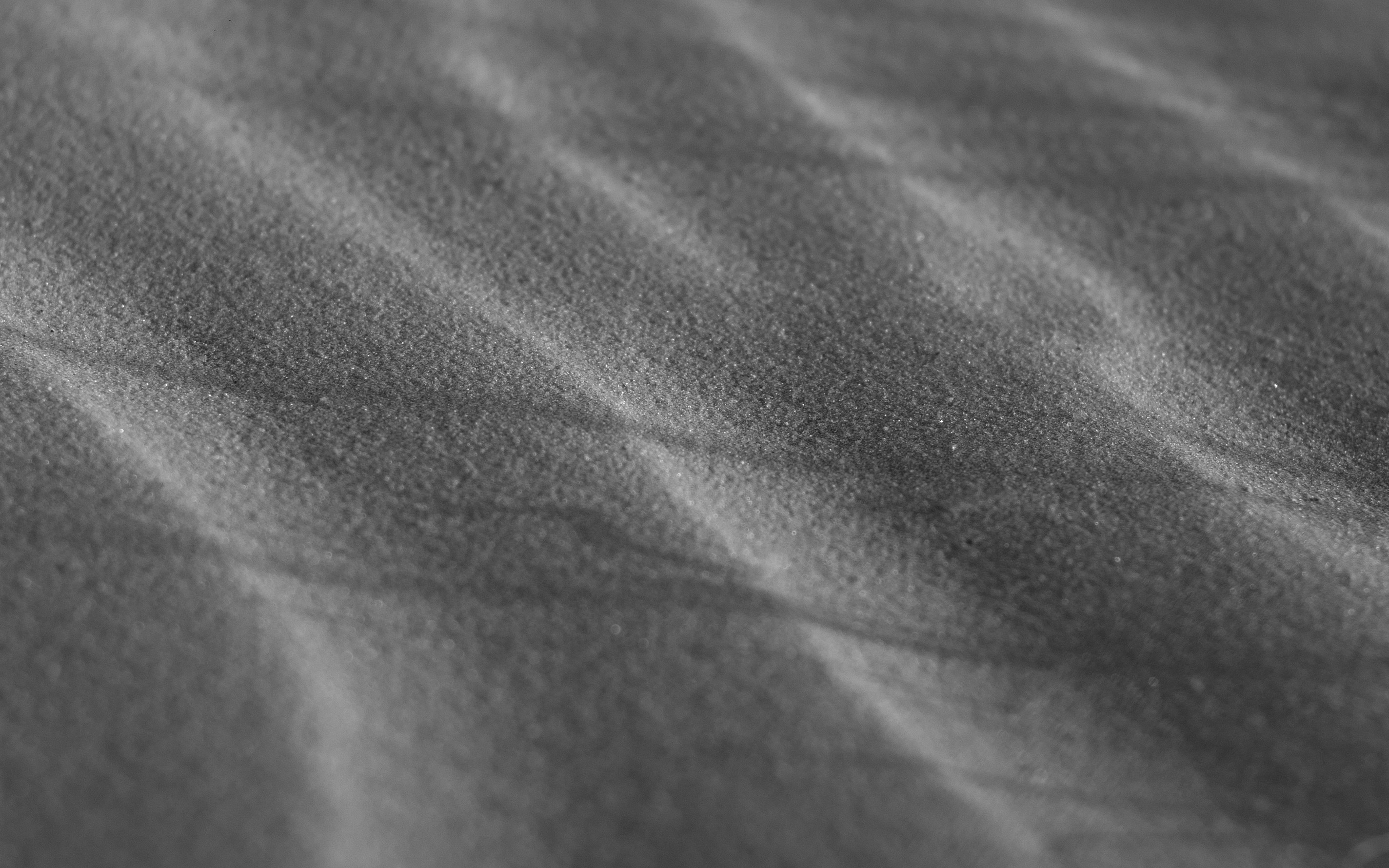 Photo by gabrieltfotografia