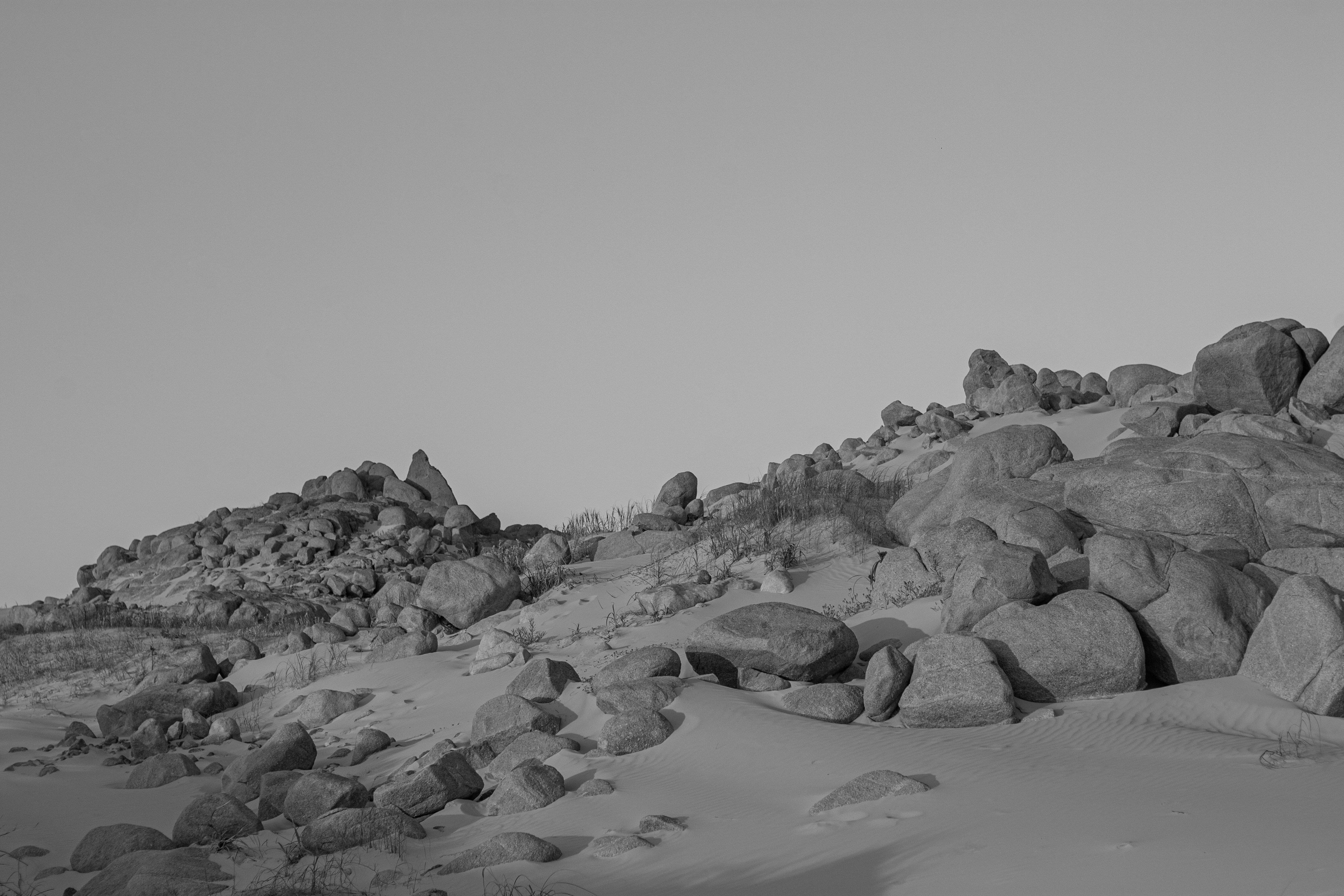 Photo by gabrieltfotografia