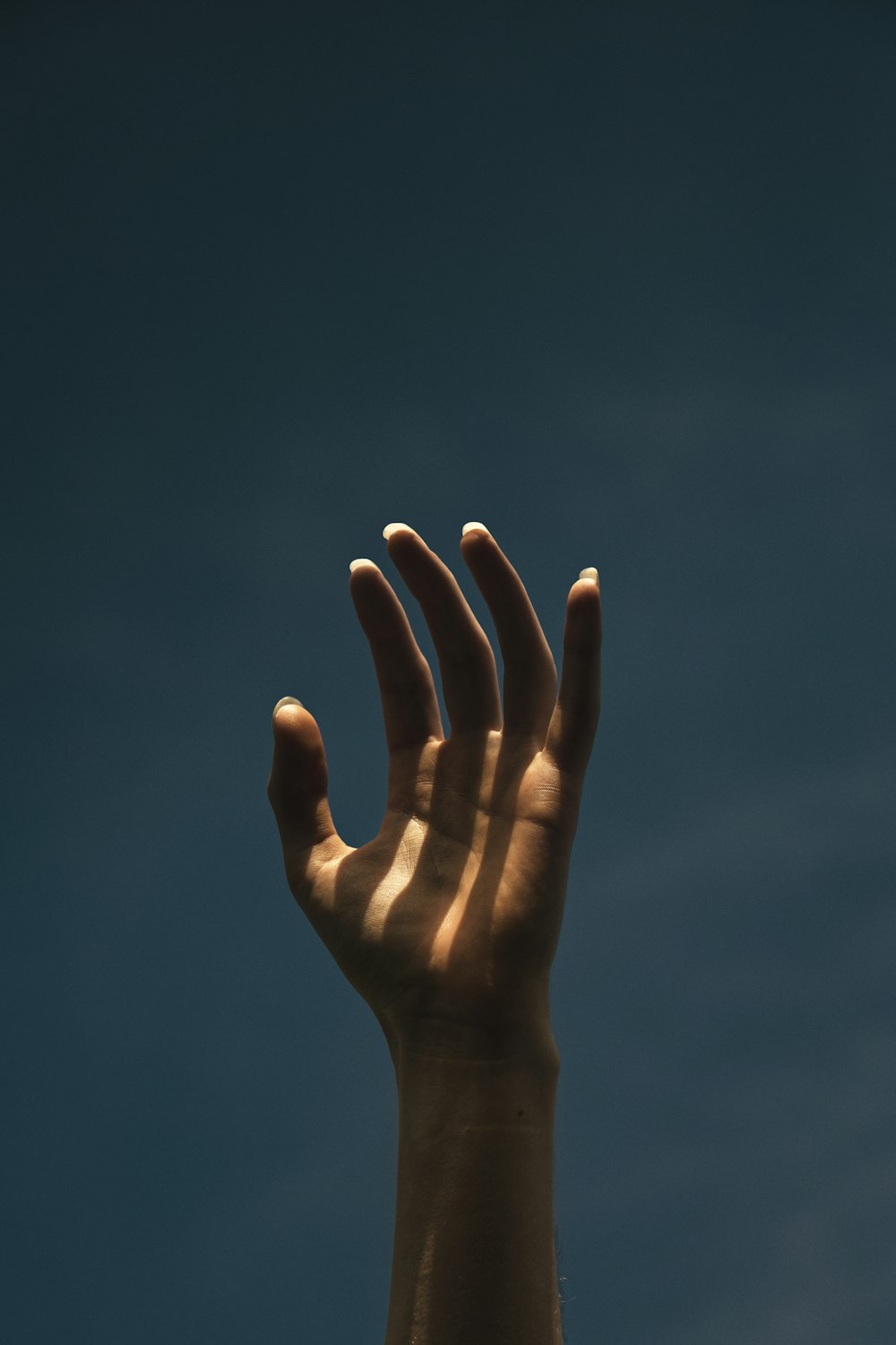 persons left hand under blue sky during daytime