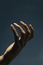 persons left hand doing peace sign