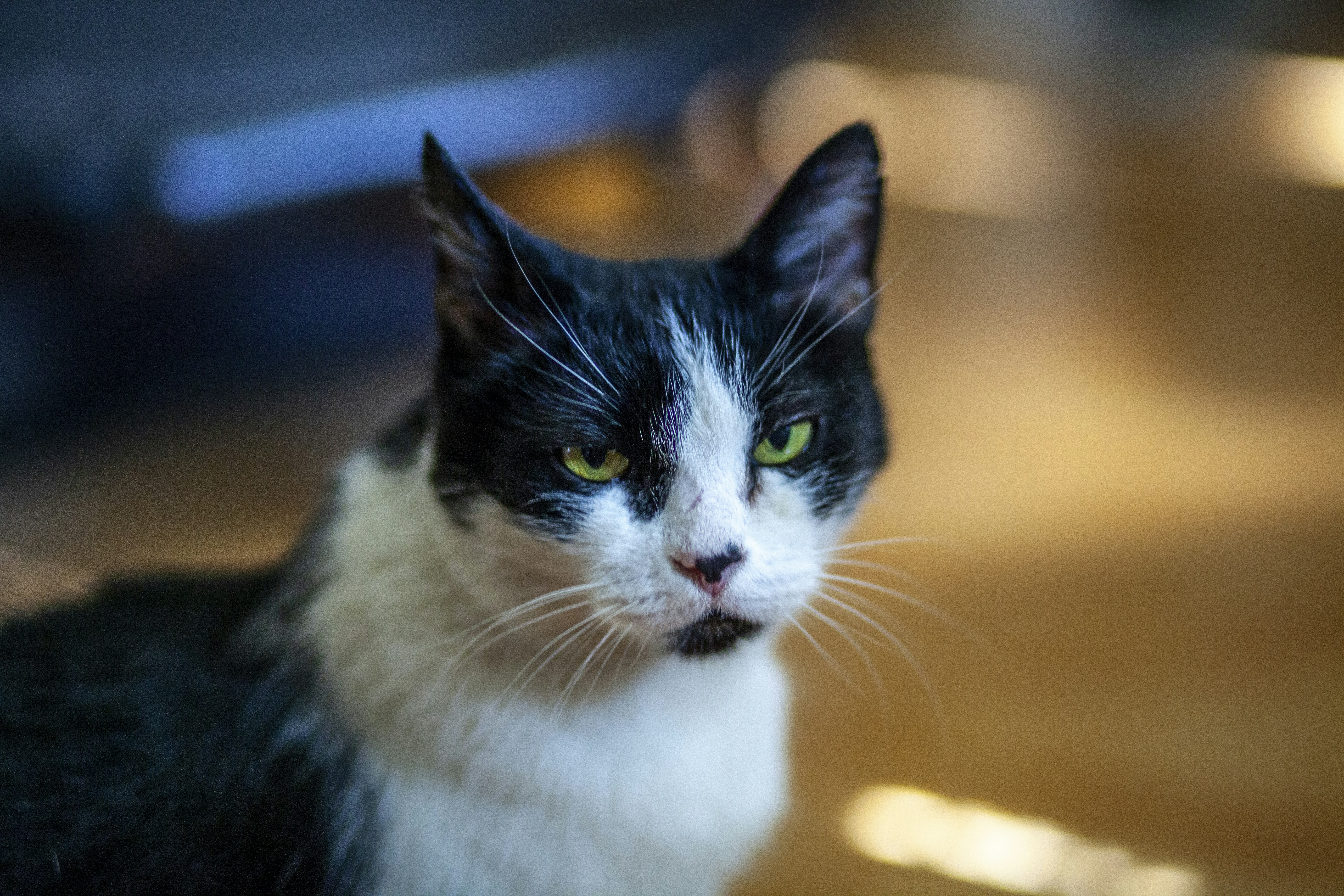 Photo by denisseleon