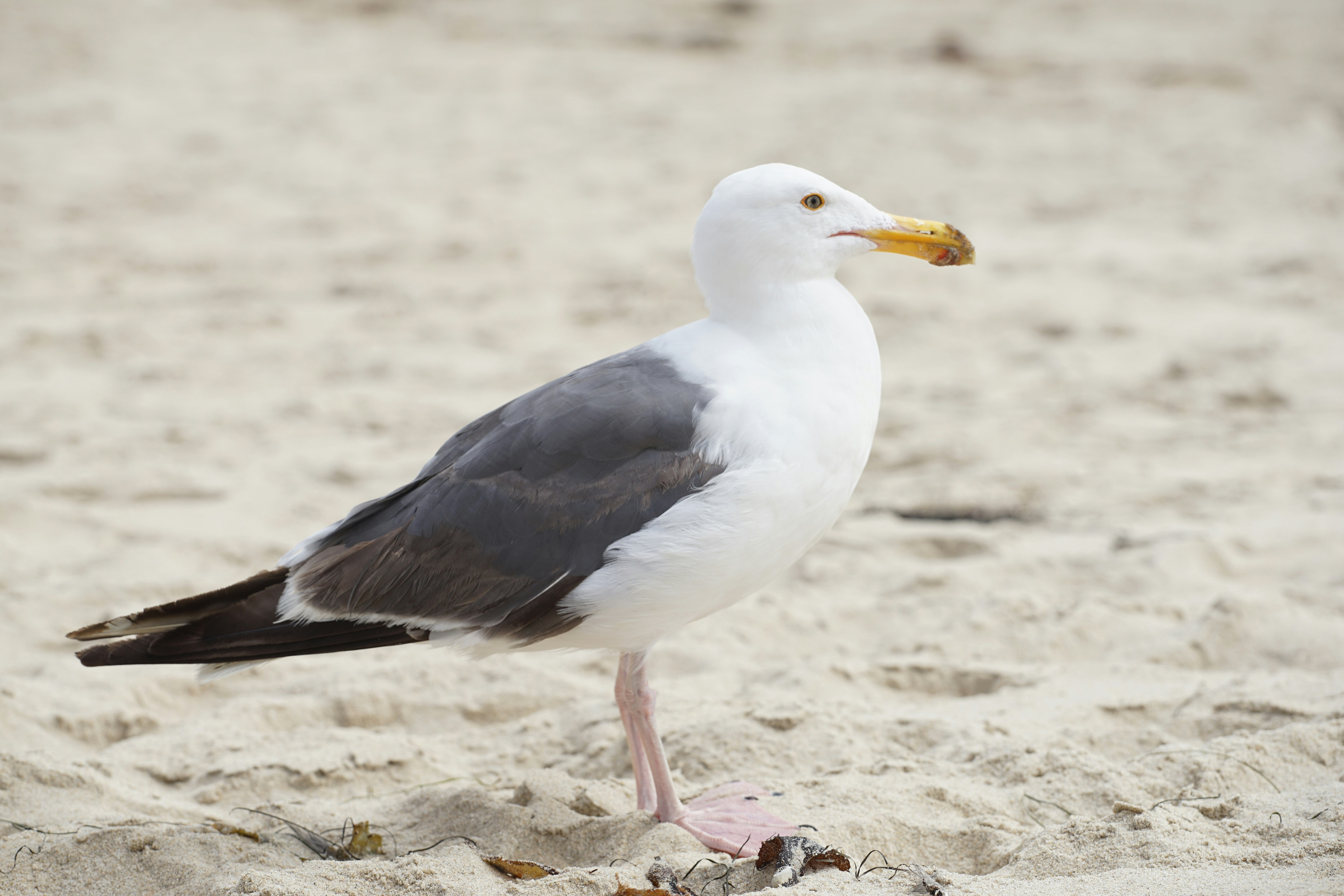 Photo by denisseleon