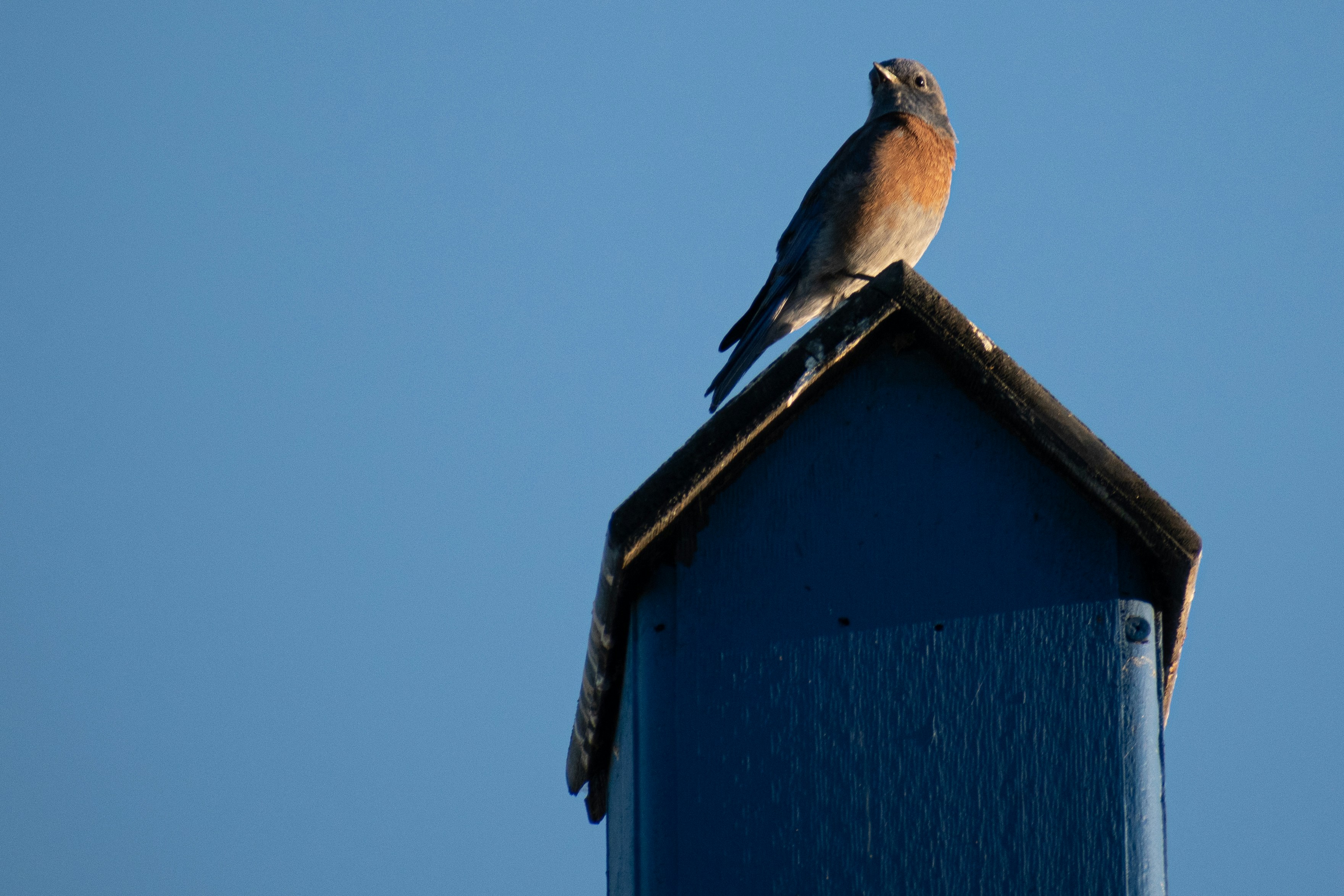 Photo by elisastonephotography