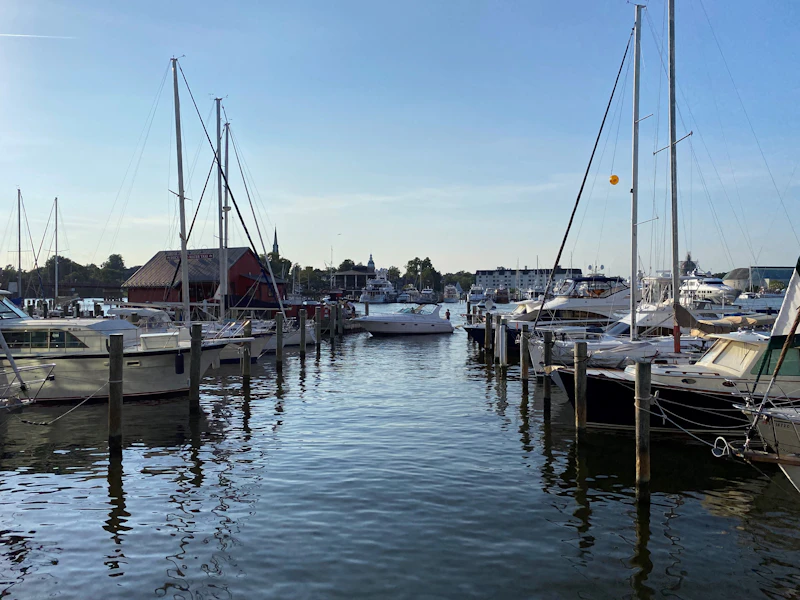 Sailboats docked at an Annapolis, Maryland marina