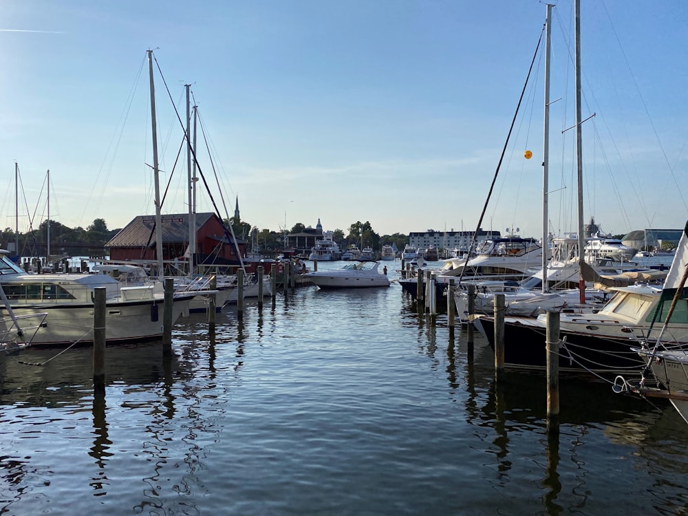 white and black boat on dock during daytime