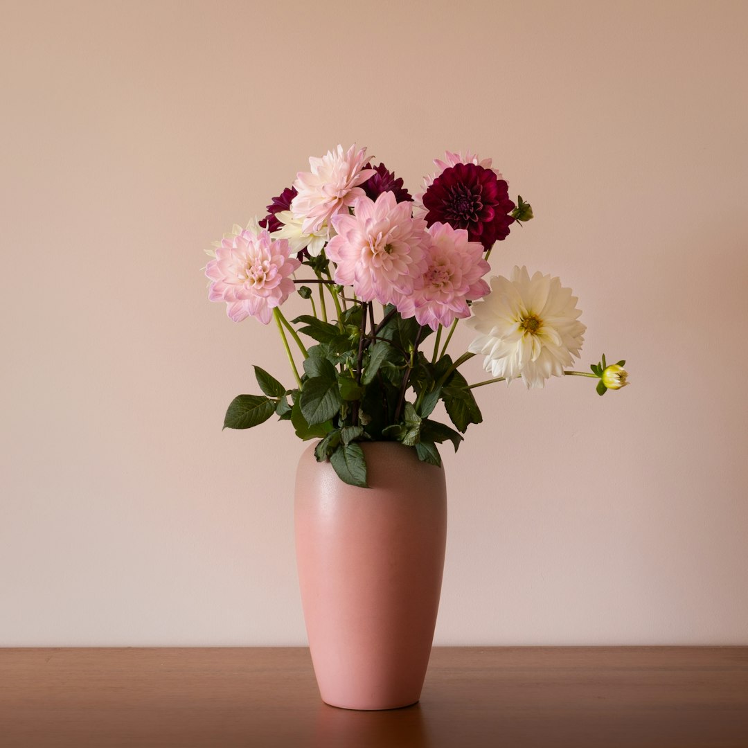 pink and white flowers in brown ceramic vase