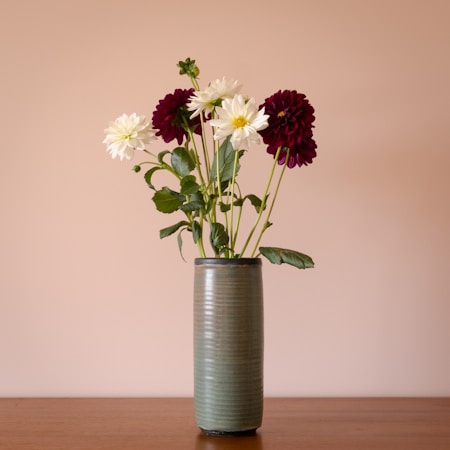 A simple, elegant arrangement of burgundy and white flowers displayed in a tall, cylindrical ceramic vase. The background is a muted, warm beige color, enhancing the natural tones of the flowers and vase. The flowers are fresh, with lush green leaves and long stems.