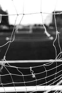 grayscale photo of chain link fence