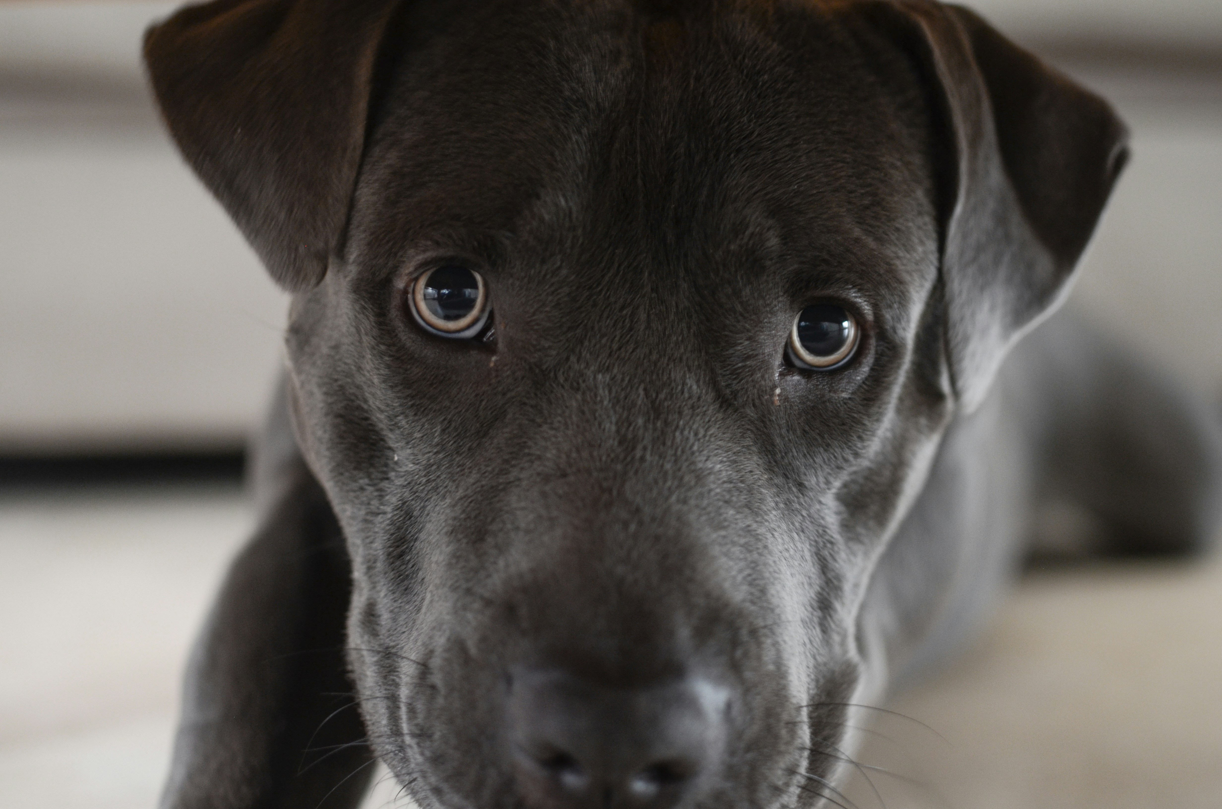Cain, my cute little baby