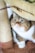 A chubby cat with green eyes and a plush, striped coat is nestled comfortably under a cat tree. The cat's fur features a mix of browns and whites, and its expression is wide-eyed and curious. The surrounding area includes a textured scratching post and soft, brown carpeting.
