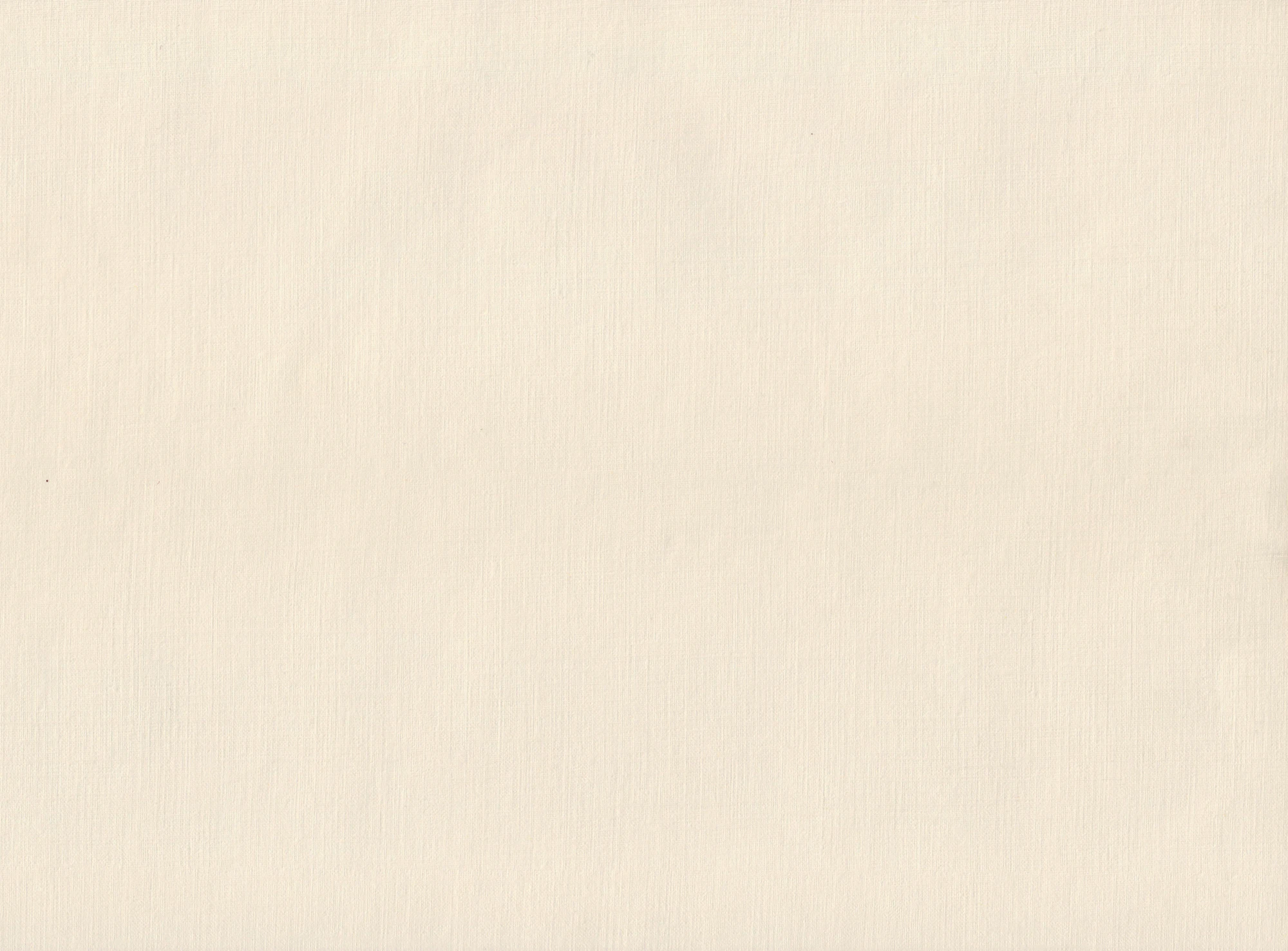 Paper Texture Background