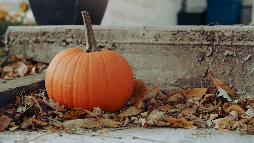 orange pumpkin on brown dried leaves