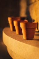 A serene herbal garden bathed in soft sunlight, with traditional clay pots.
