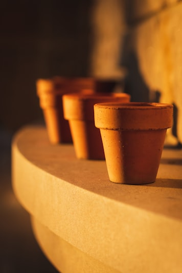 A variety of colorful earthen pots.