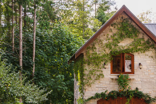 brown and white wooden house near green trees during daytime