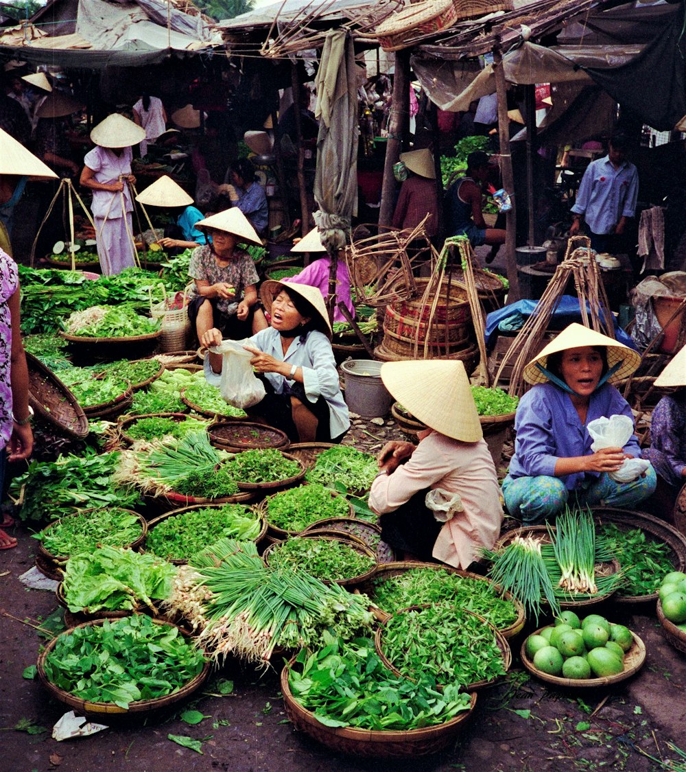 people sitting on brown wooden chair surrounded by green vegetables during daytime