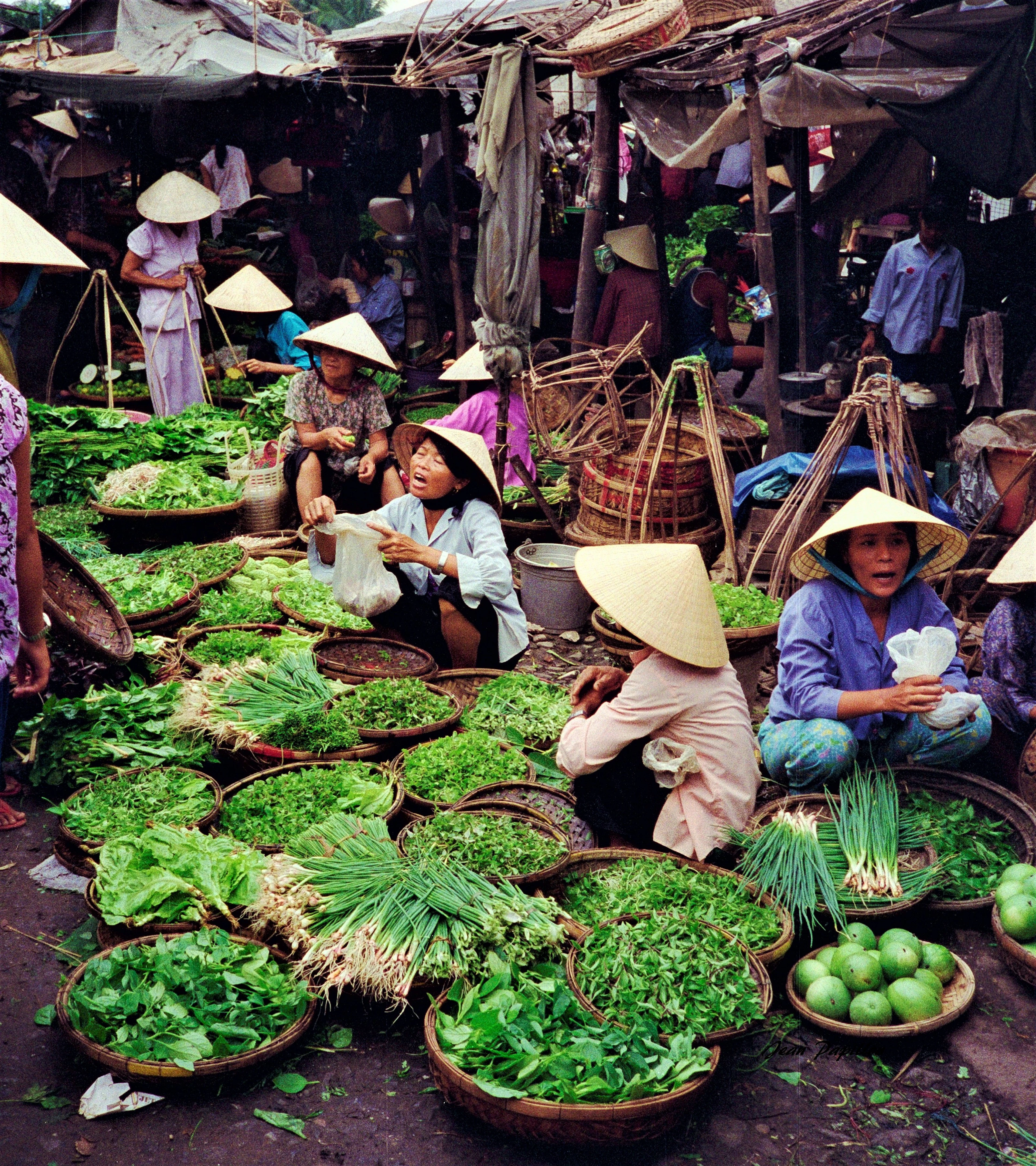 Women in conical hats sitting among wide flat baskets of herbs, spring onions, water spinach and limes at the morning market in Hoi An, under a patchwork of canvas awnings.