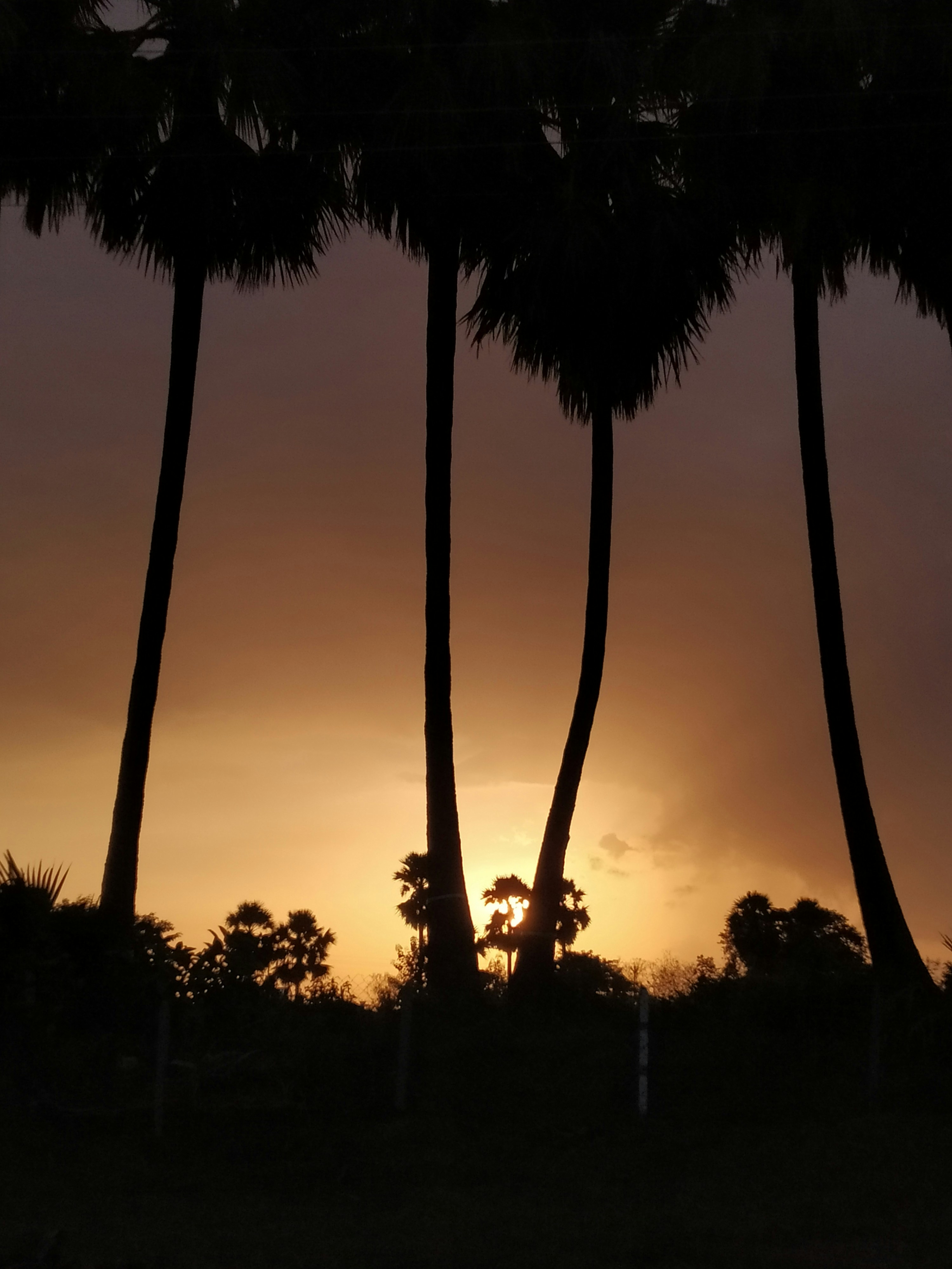 Photo by owaisbandaly