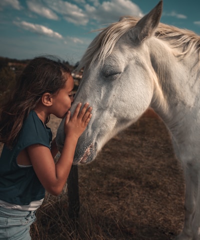 woman in blue t-shirt standing beside white horse during daytime