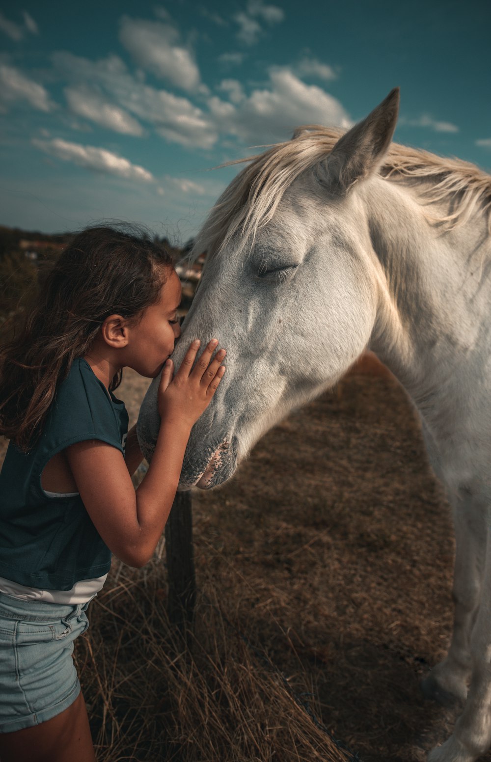 woman in blue t-shirt standing beside white horse during daytime