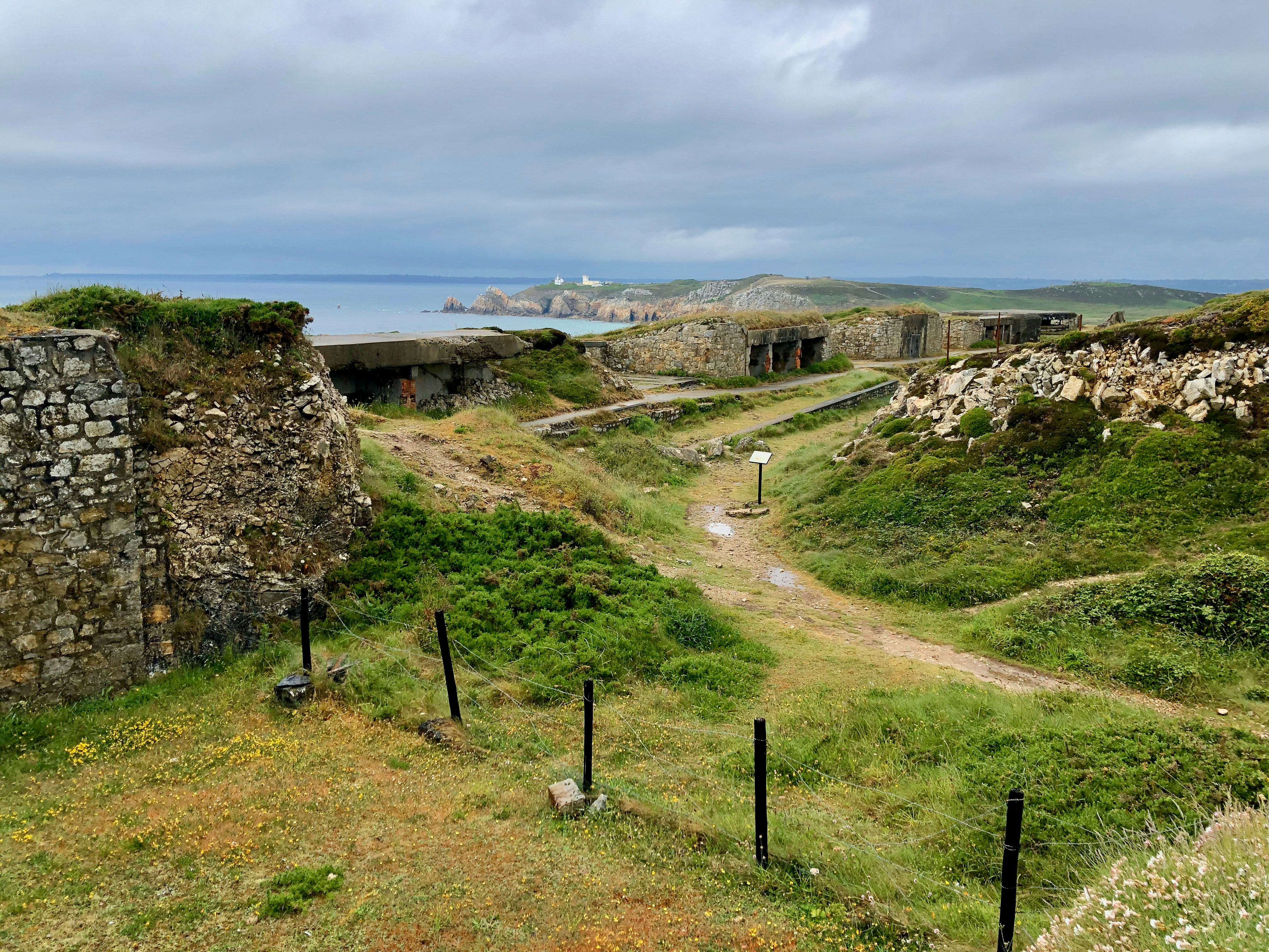 green grass field under white sky during daytime