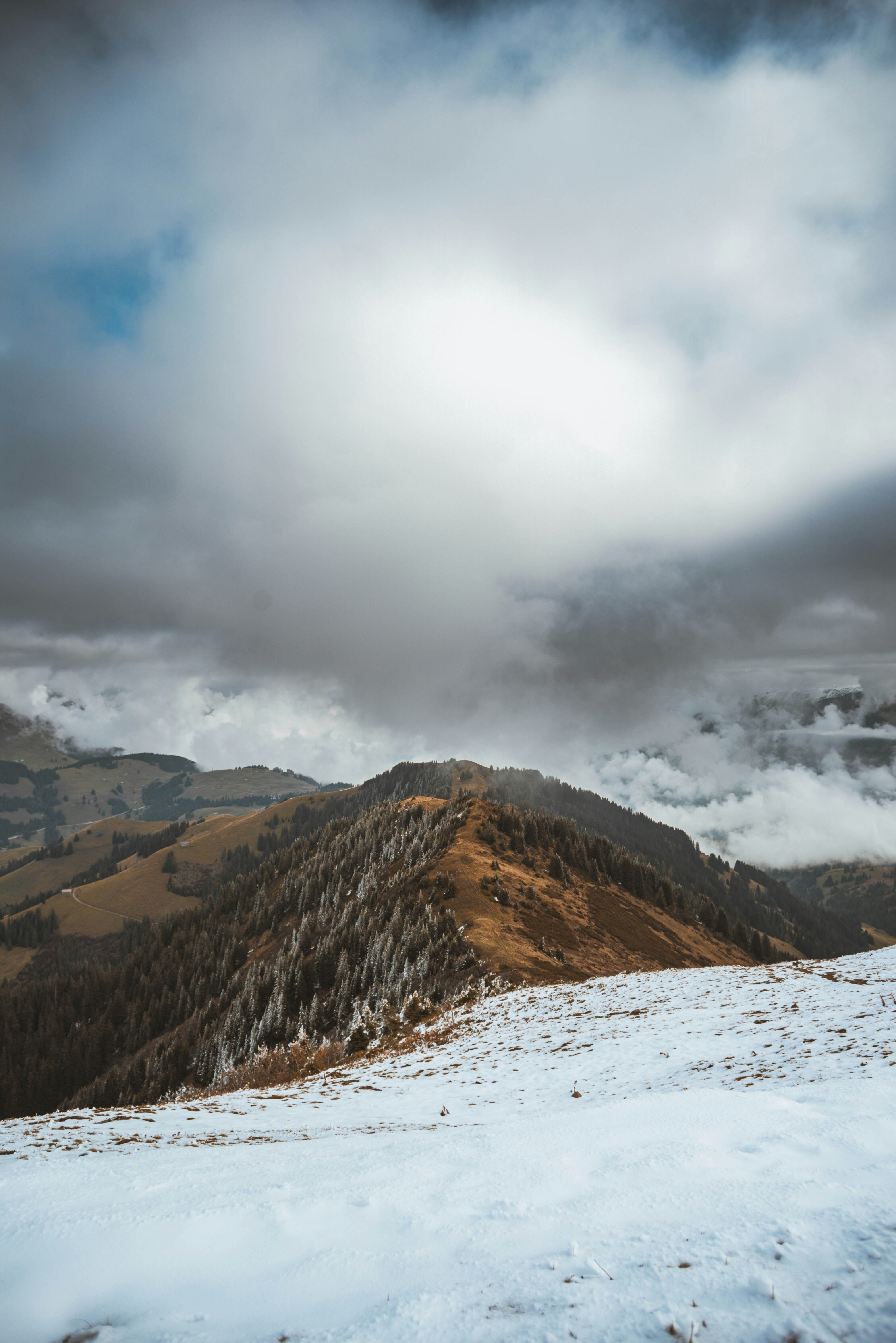 Photo by sven_pieren