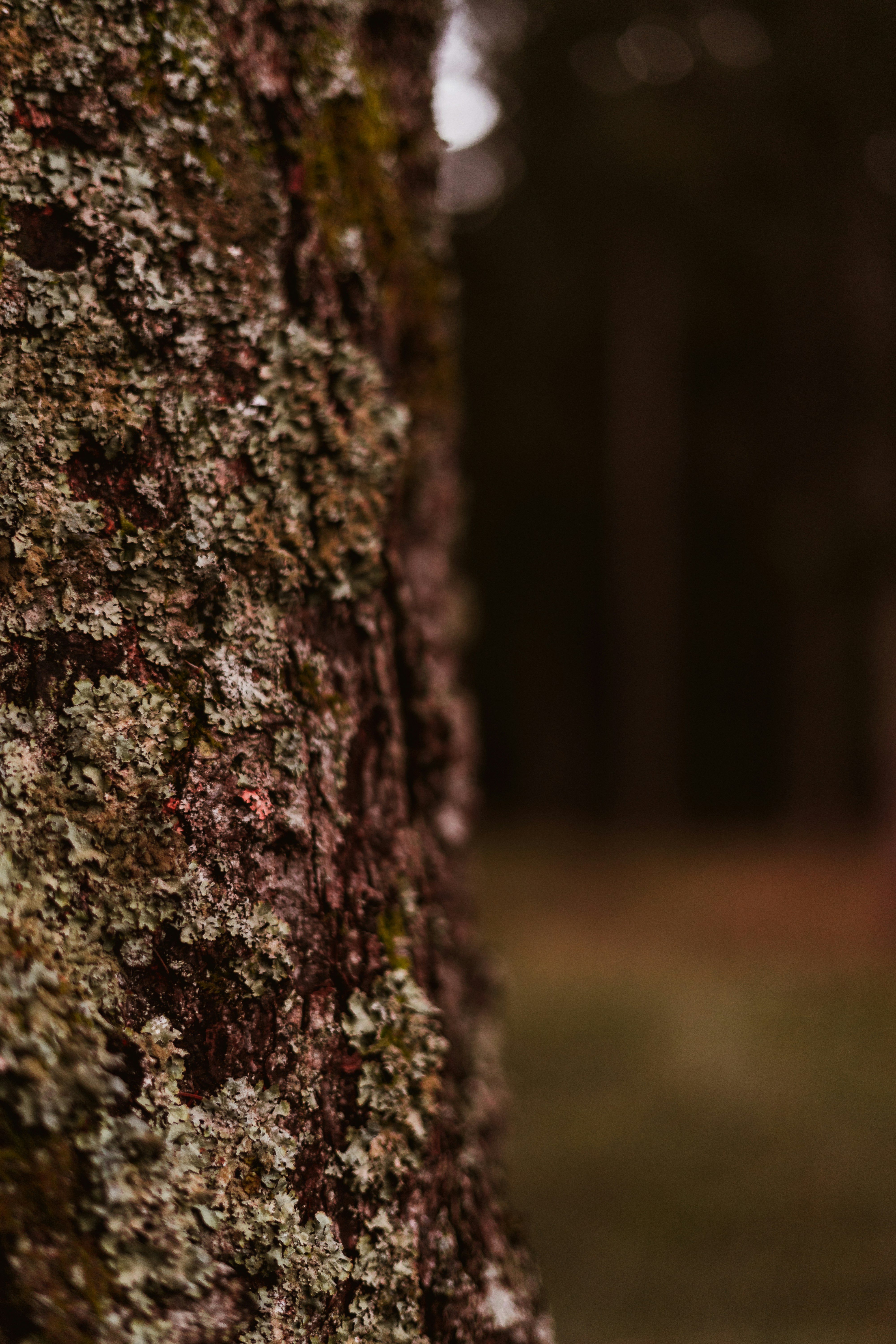 Photo by virussinside